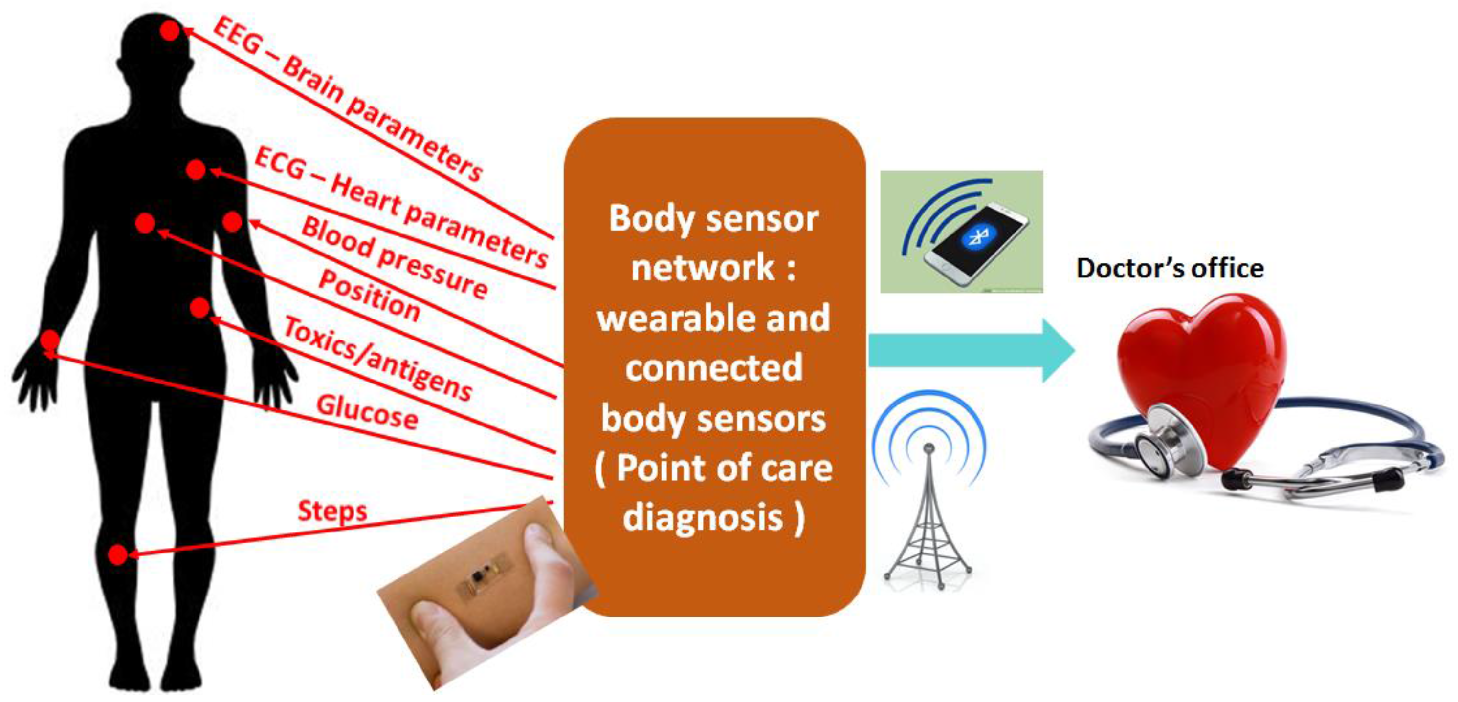Biosensors 07 00042 g001 Biosensors 07 00042 g001