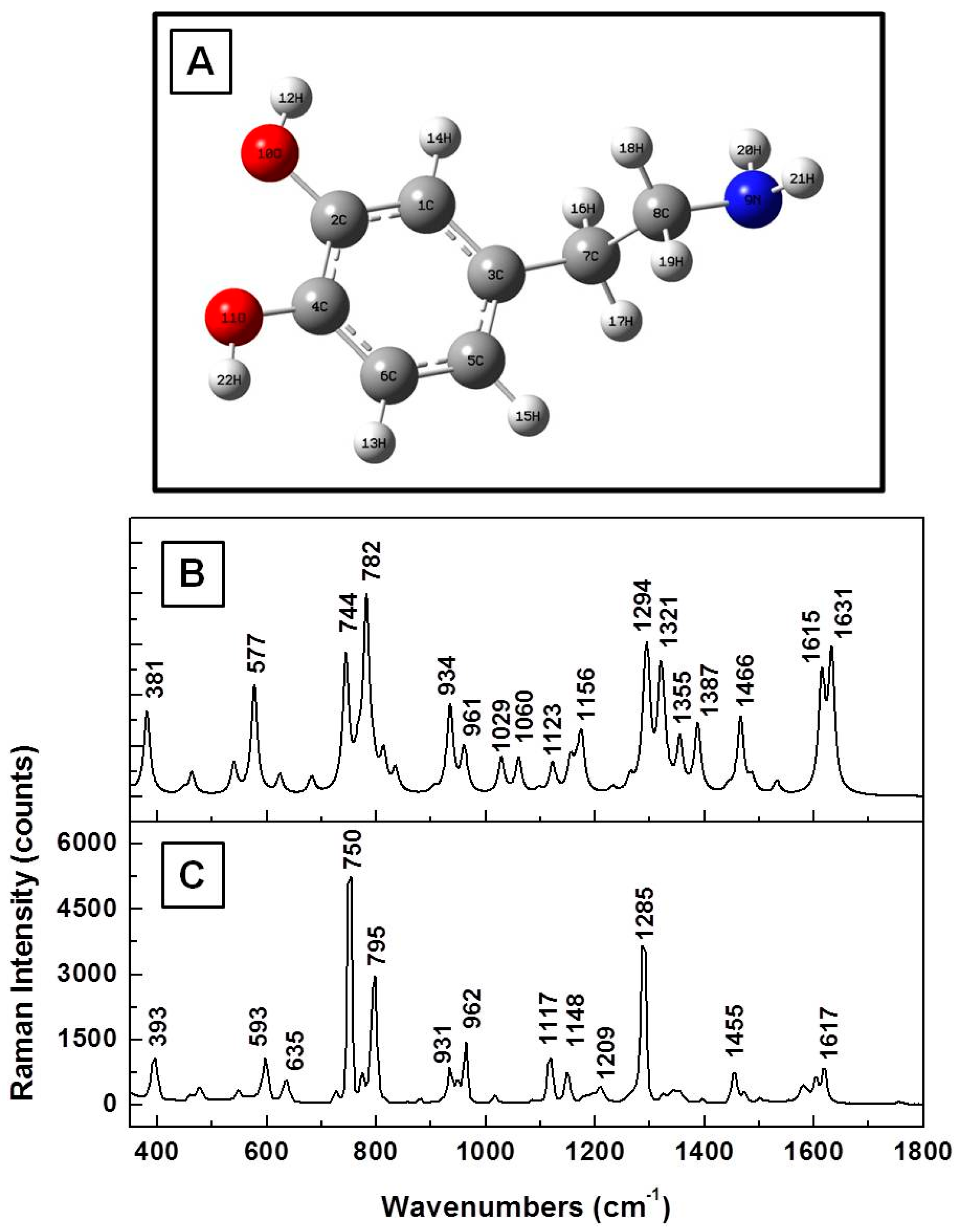 Biosensors 07 00043 g001