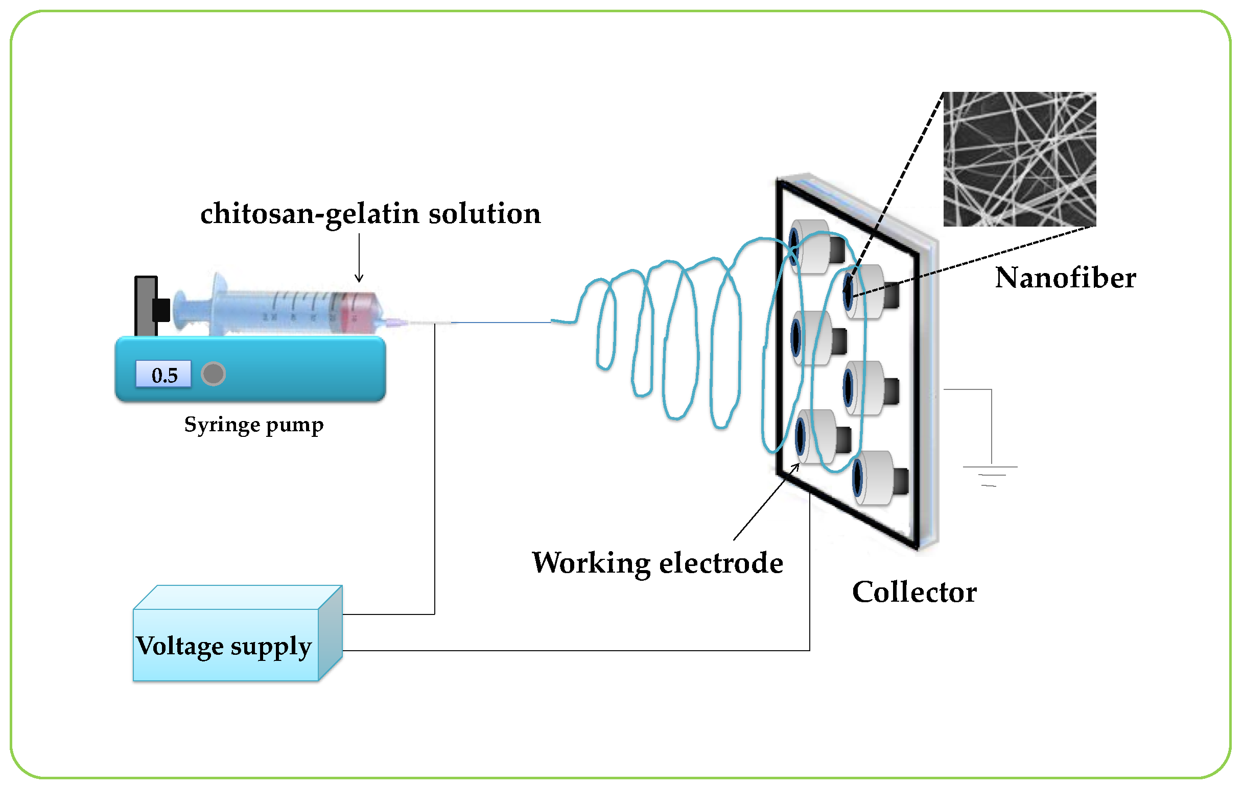 Biosensors 07 00047 g001