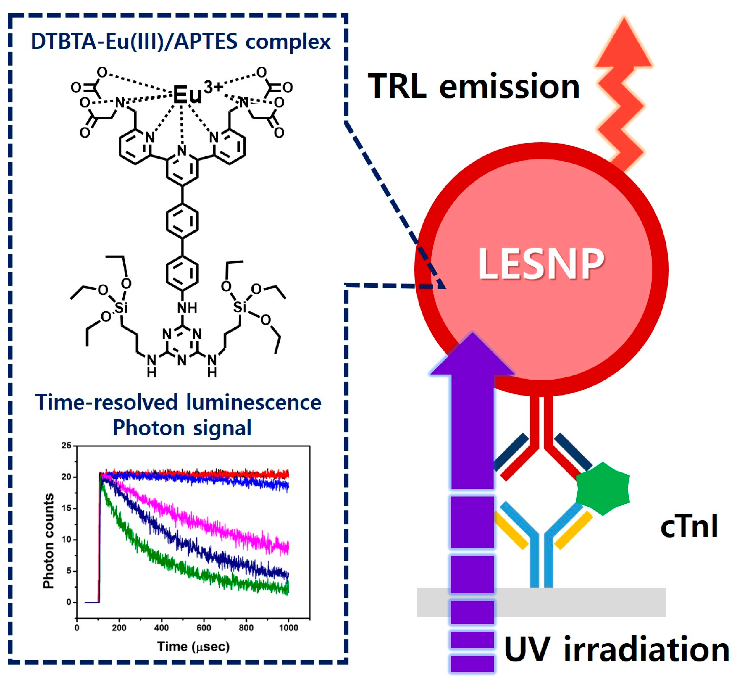 Biosensors 07 00048 g001