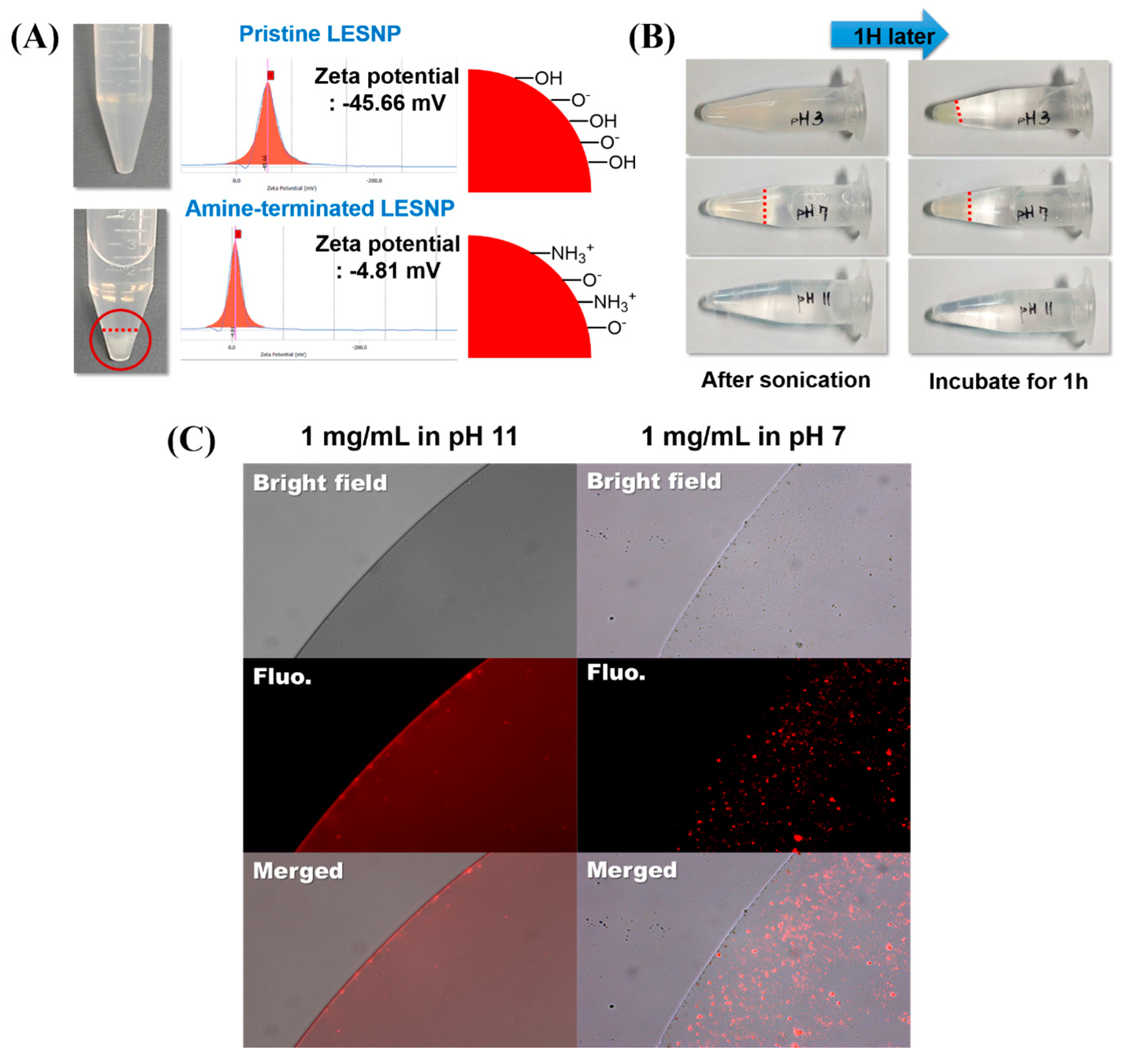 Biosensors 07 00048 g006