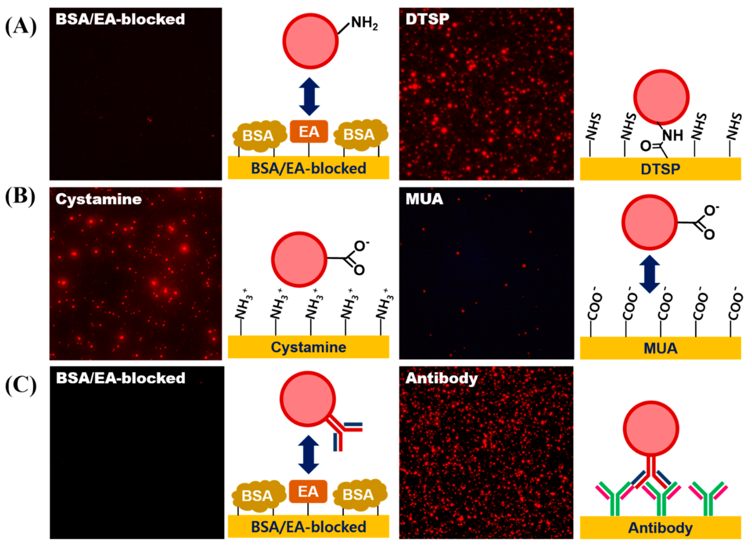 Biosensors 07 00048 g007