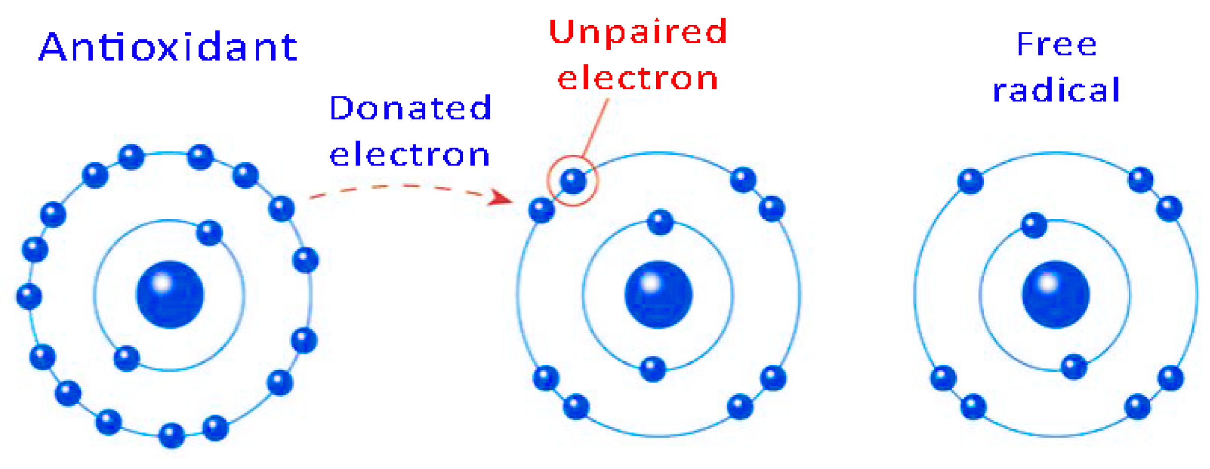 Biosensors 07 00057 g001