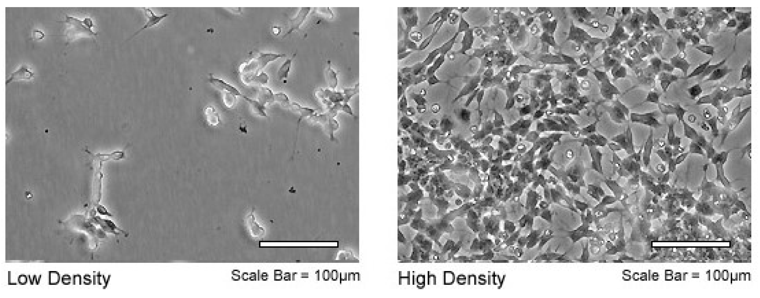 Biosensors 07 00057 g003