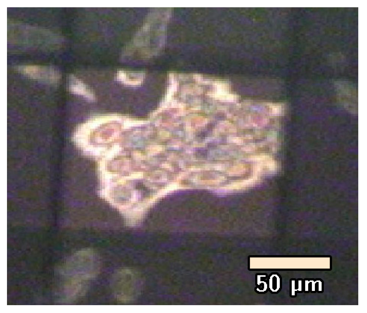 Biosensors 07 00057 g004