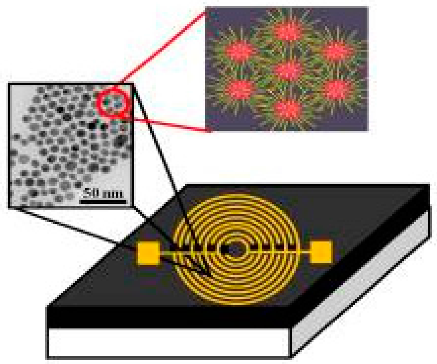 Biosensors 07 00059 g024