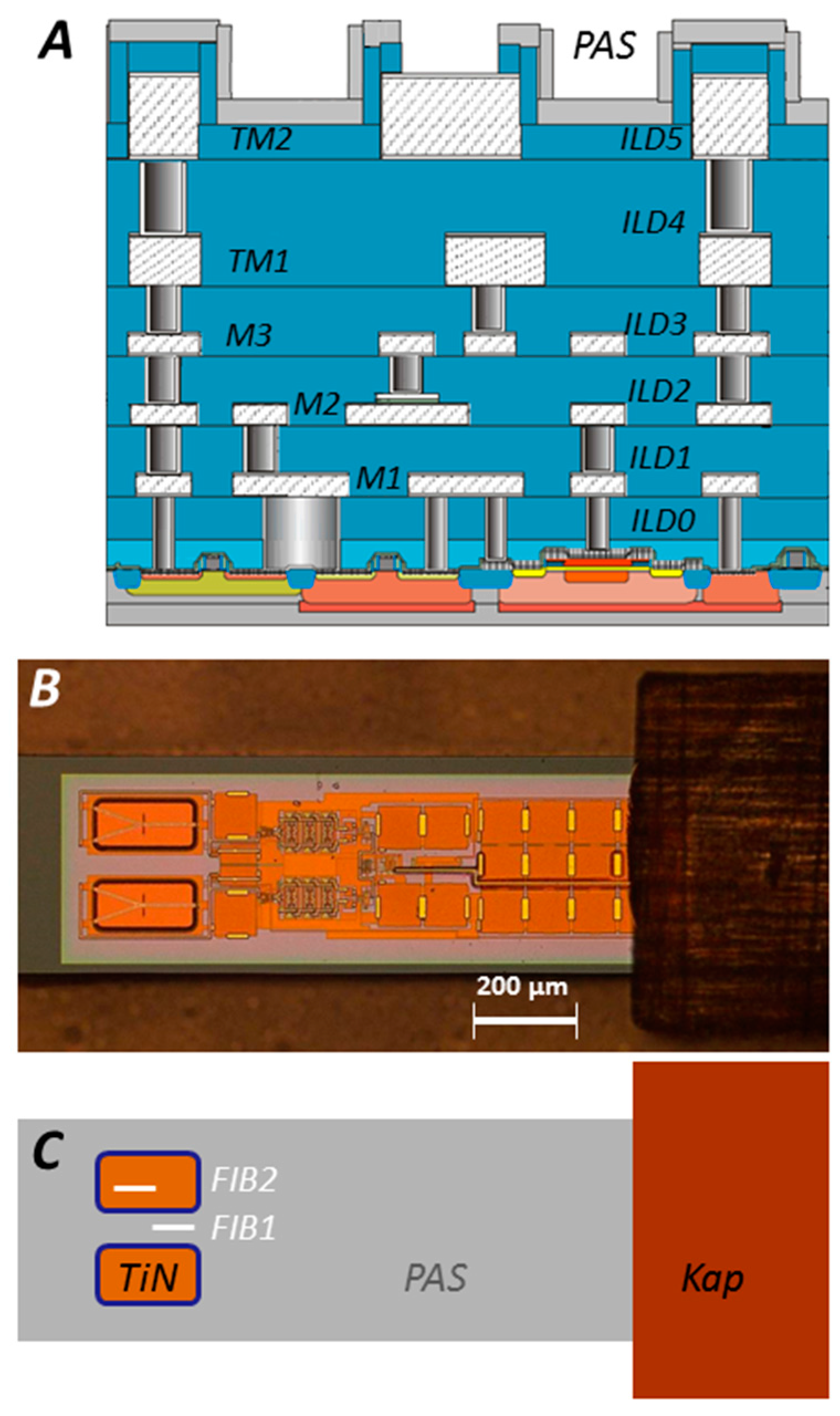 Biosensors 08 00013 g001