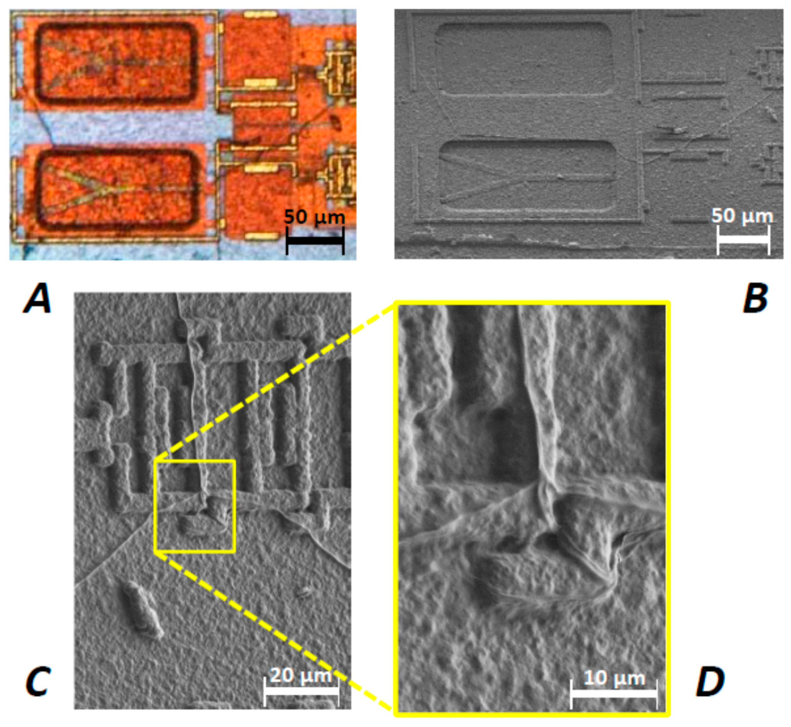 Biosensors 08 00013 g004