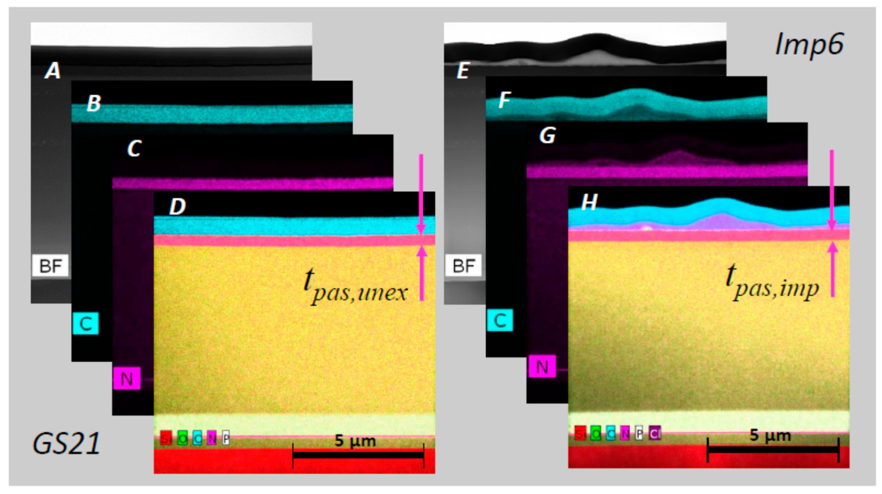 Biosensors 08 00013 g006