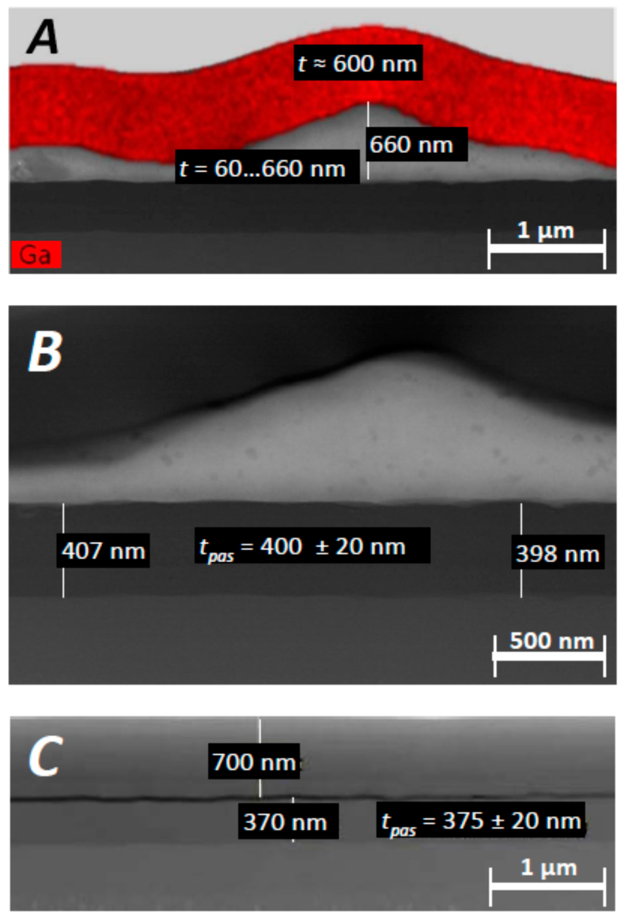 Biosensors 08 00013 g007
