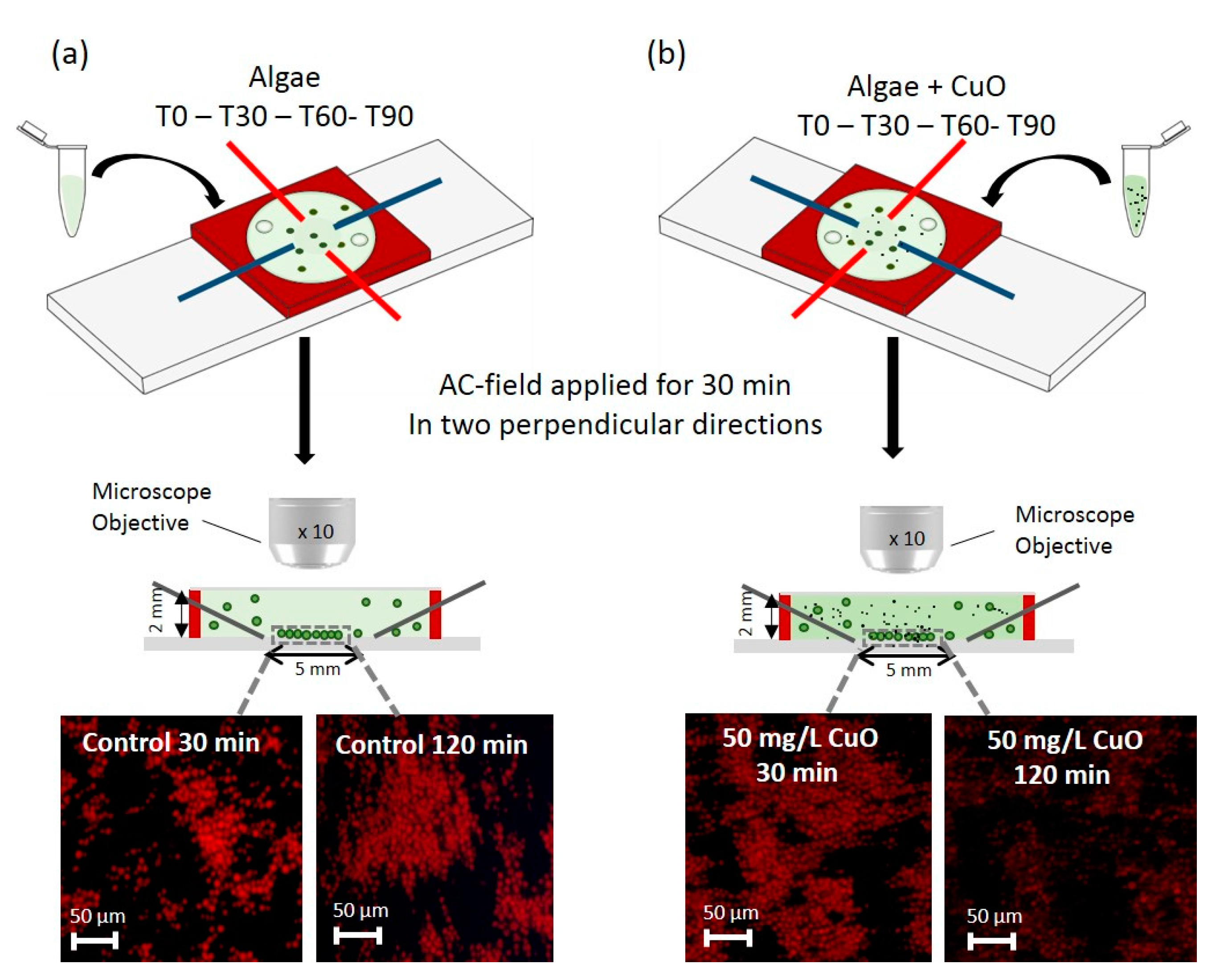 Biosensors 08 00015 g001