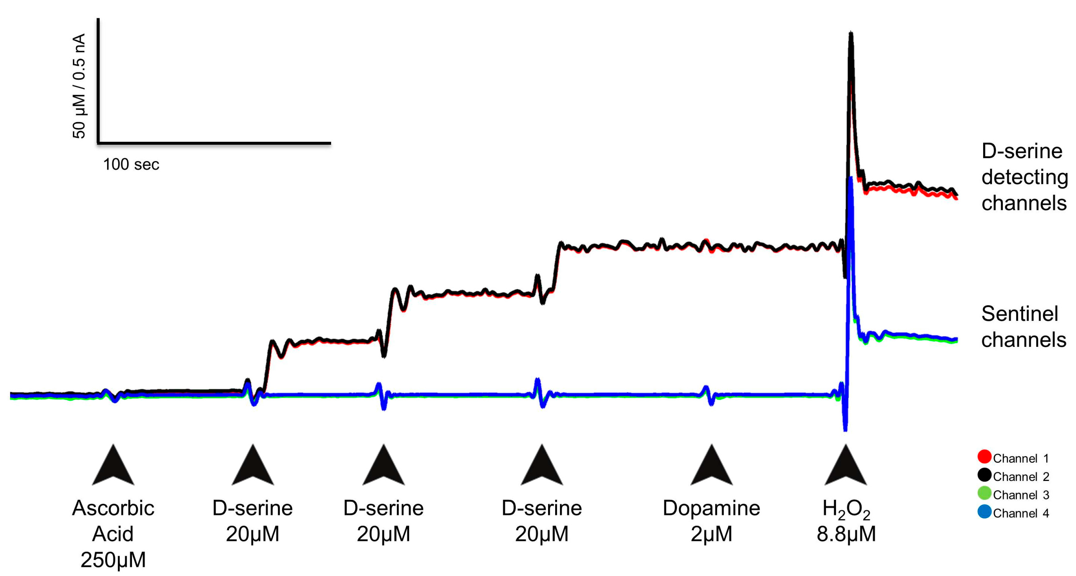 Biosensors 08 00020 g002