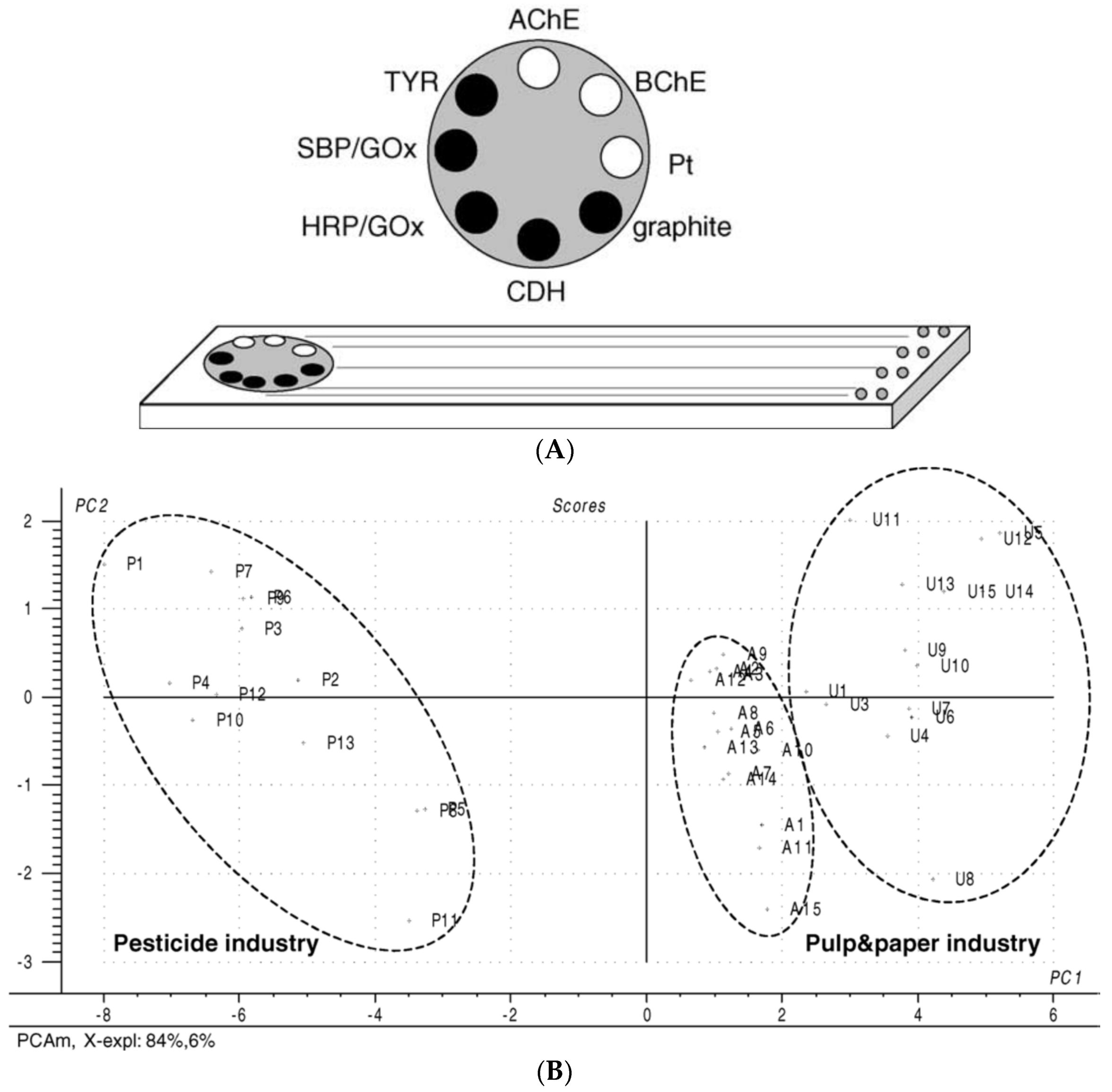 Biosensors 08 00027 g005