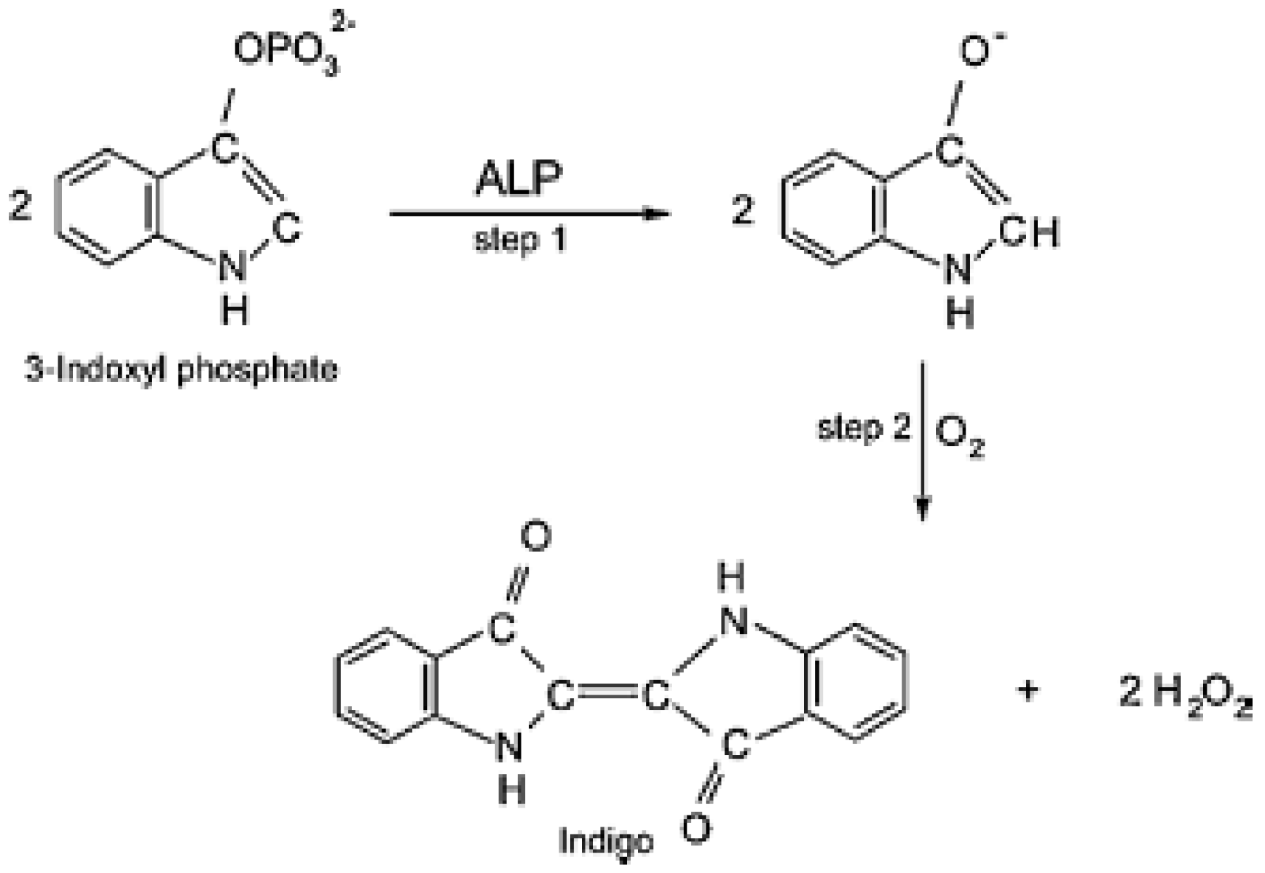 Biosensors 08 00027 g008