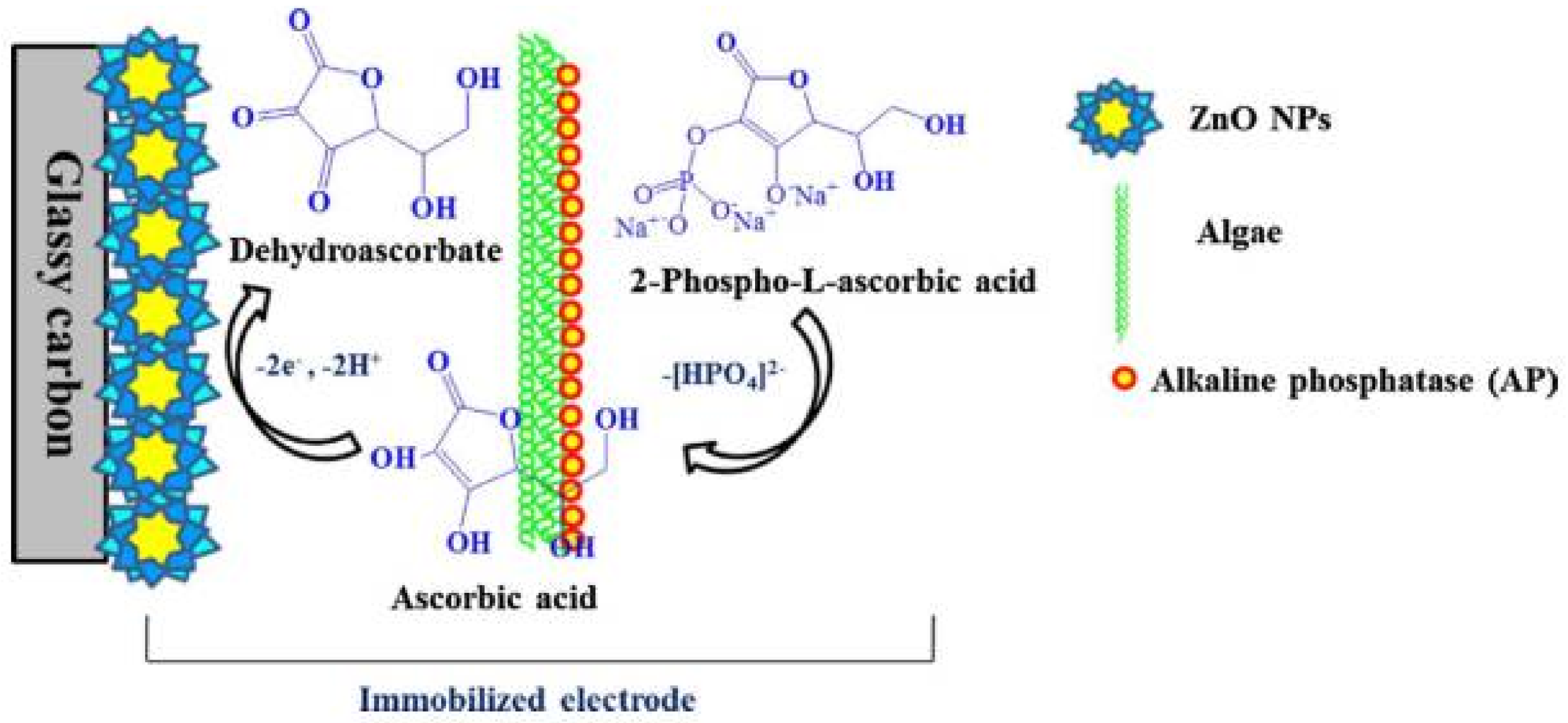 Biosensors 08 00027 g009