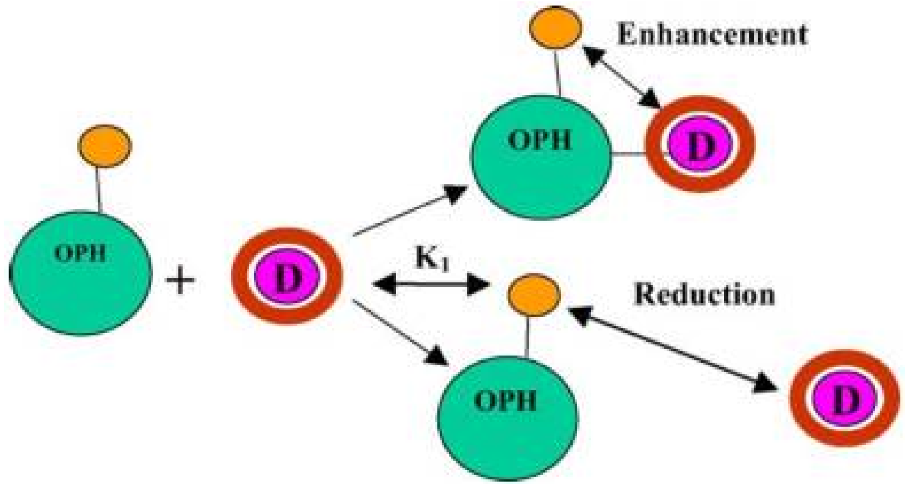 Biosensors 08 00027 g010