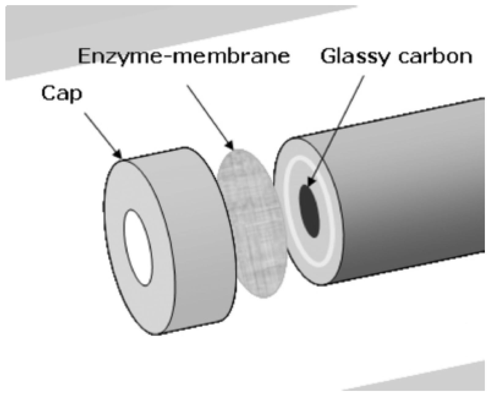 Biosensors 08 00027 g011