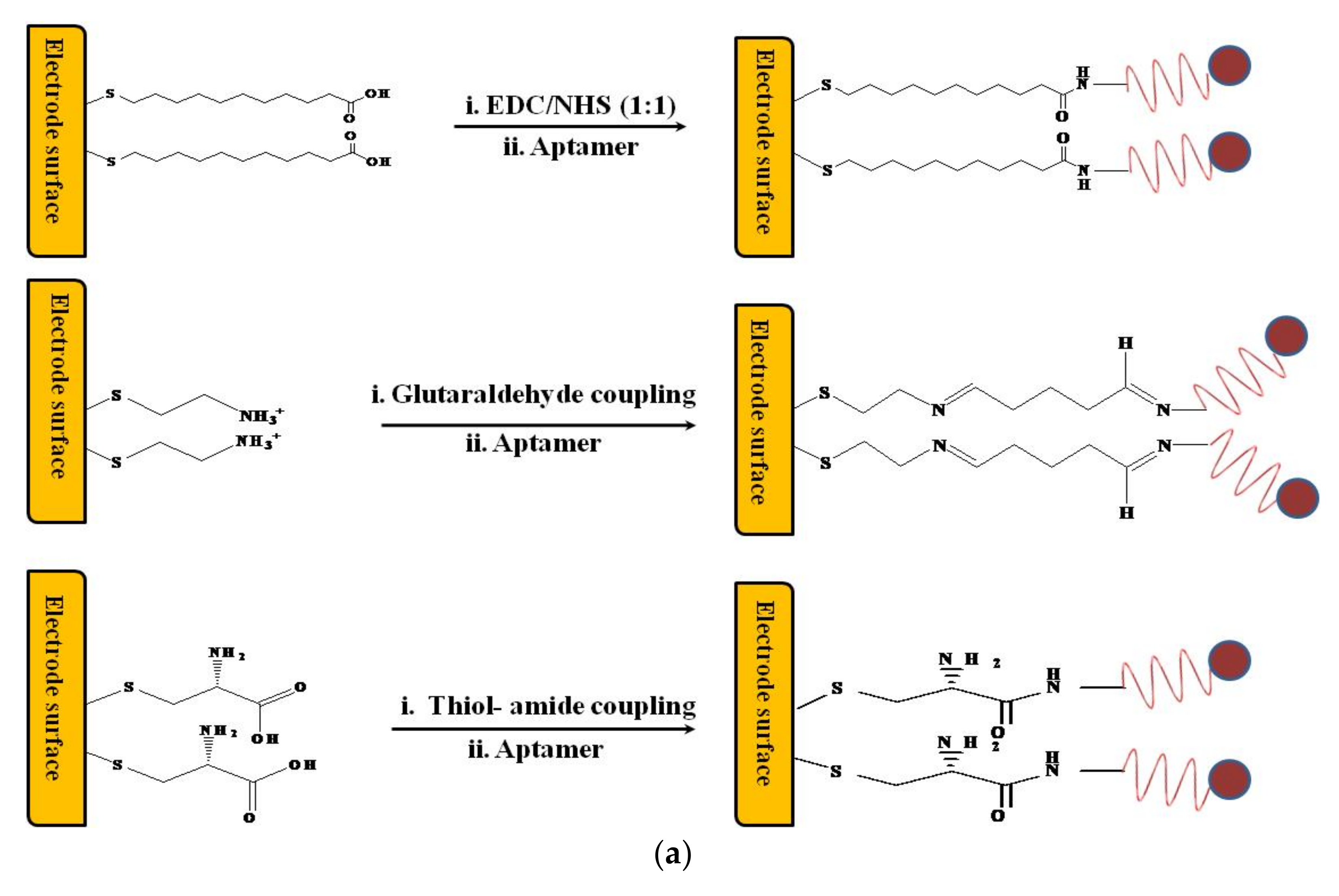 Biosensors 08 00028 g001a