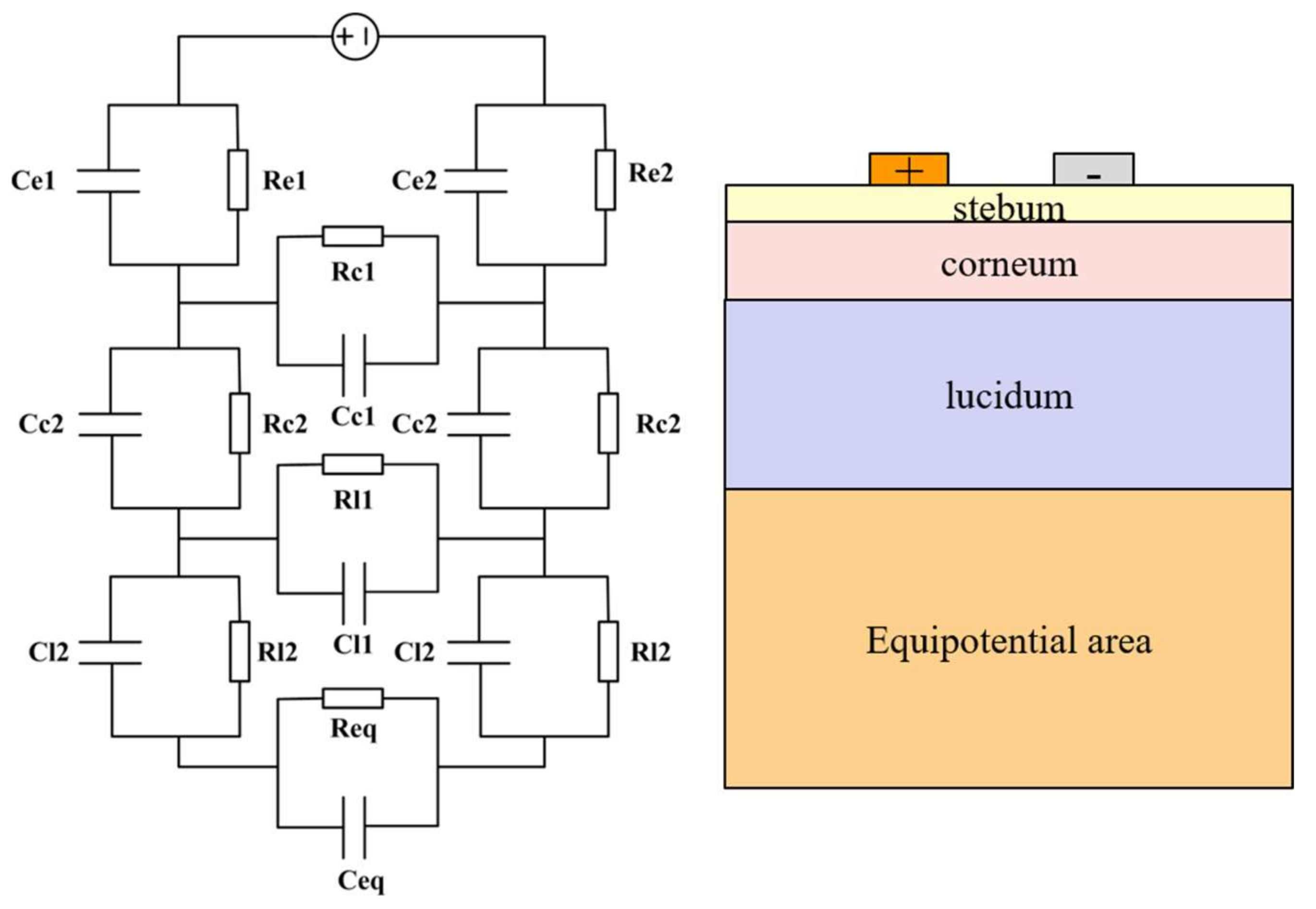 Biosensors 08 00031 g004