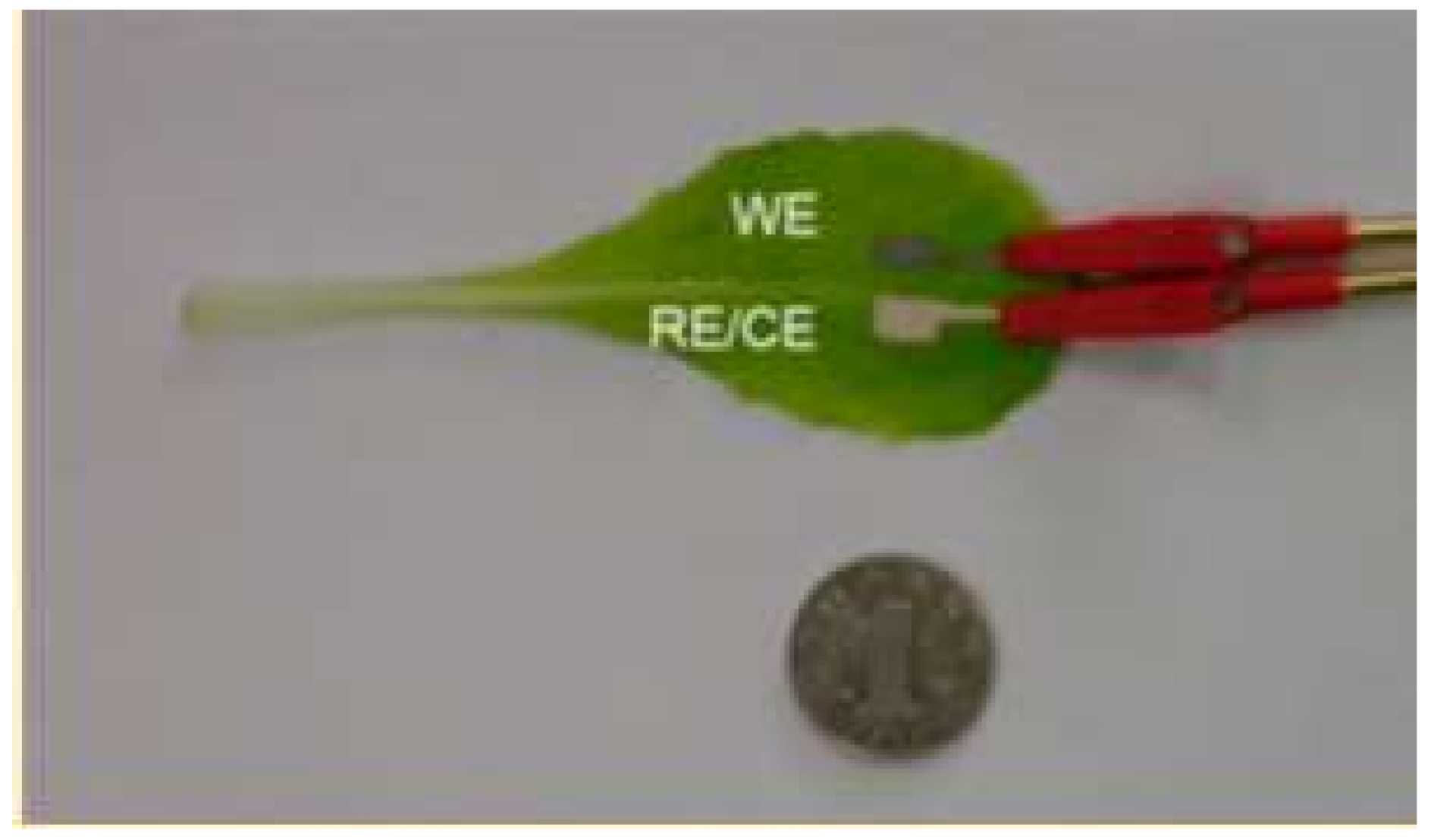 Biosensors 08 00035 g004