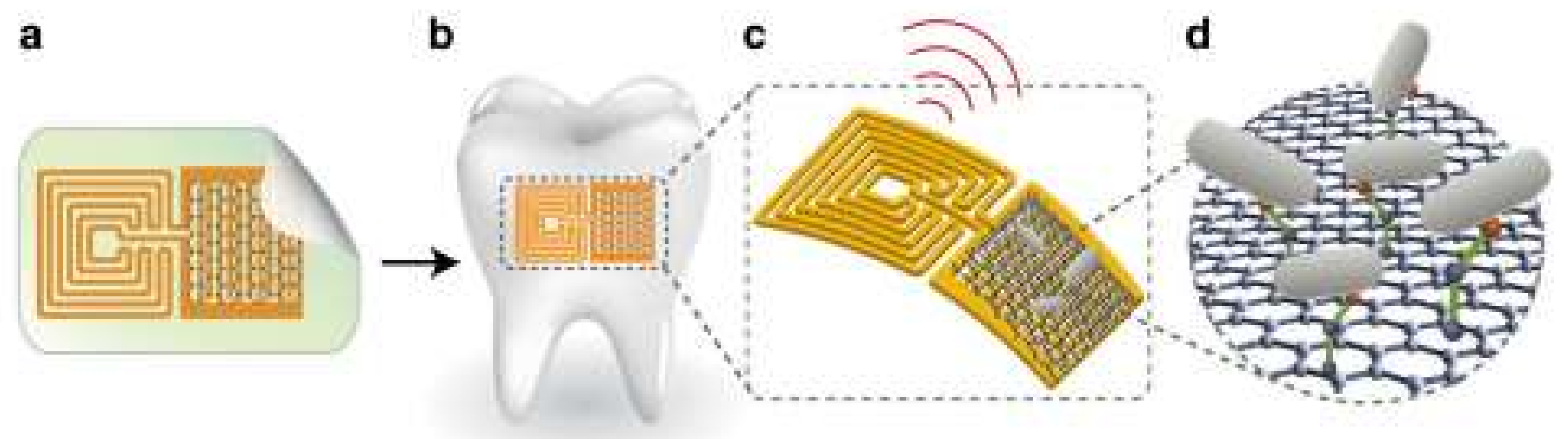 Biosensors 08 00035 g005