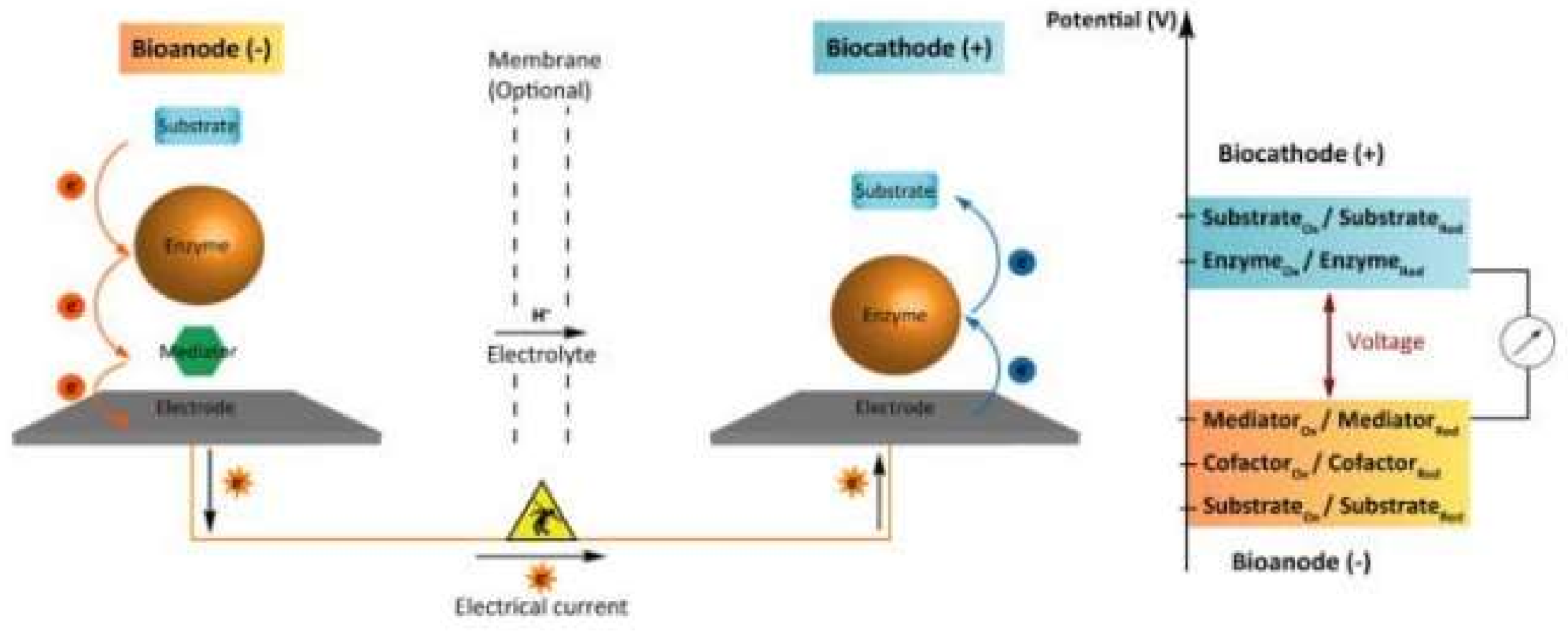 Biosensors 08 00035 g008