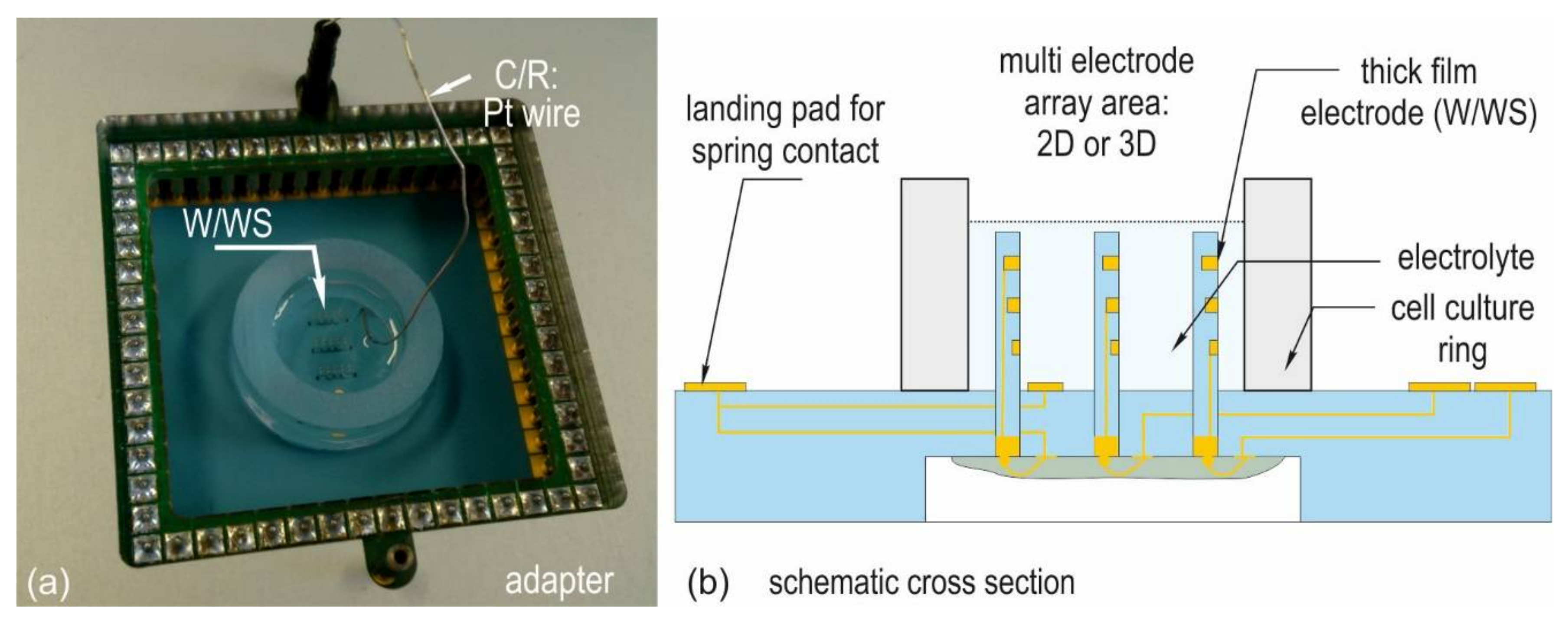 Biosensors 08 00037 g003