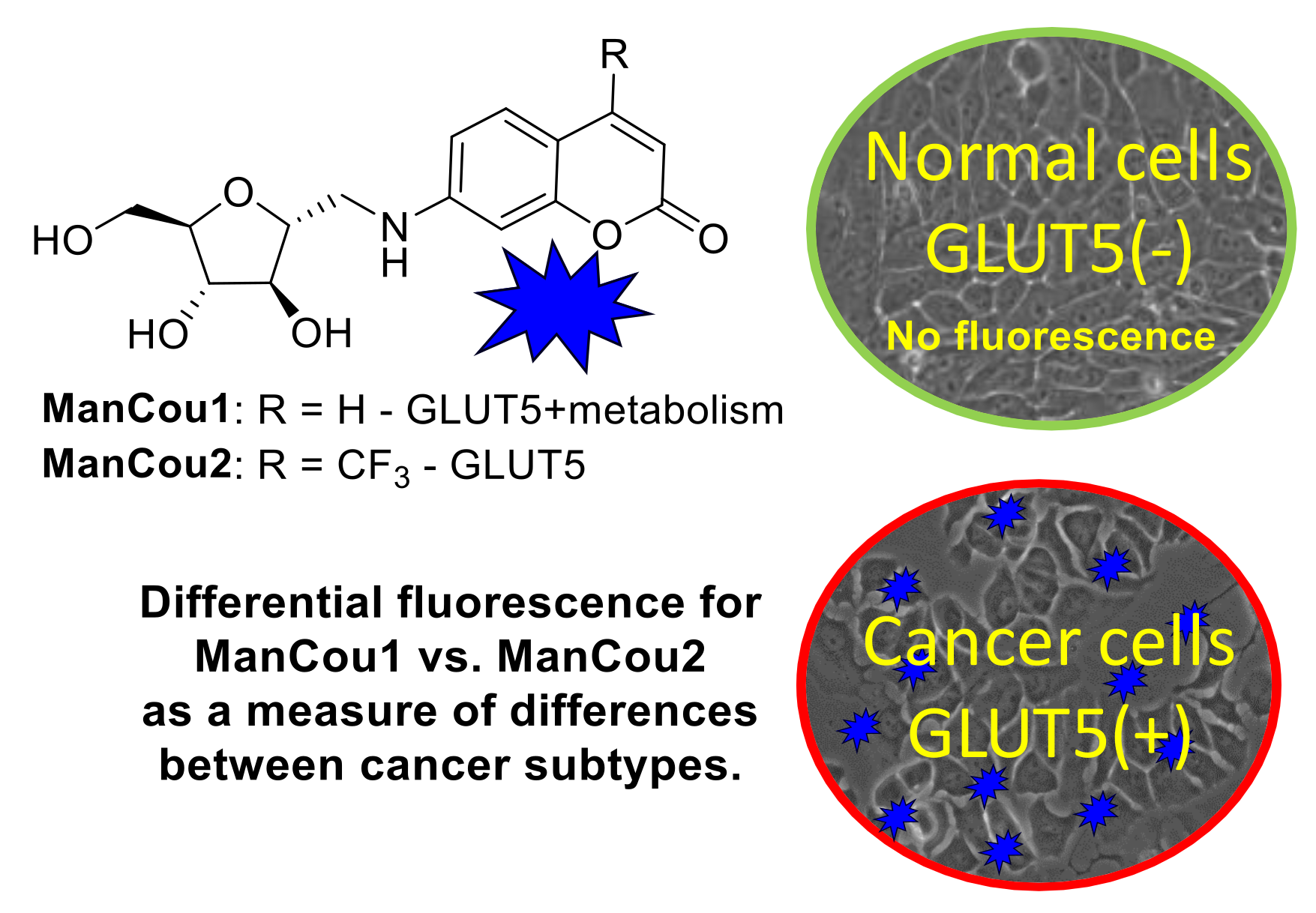 Biosensors 08 00039 g001 Biosensors 08 00039 g001