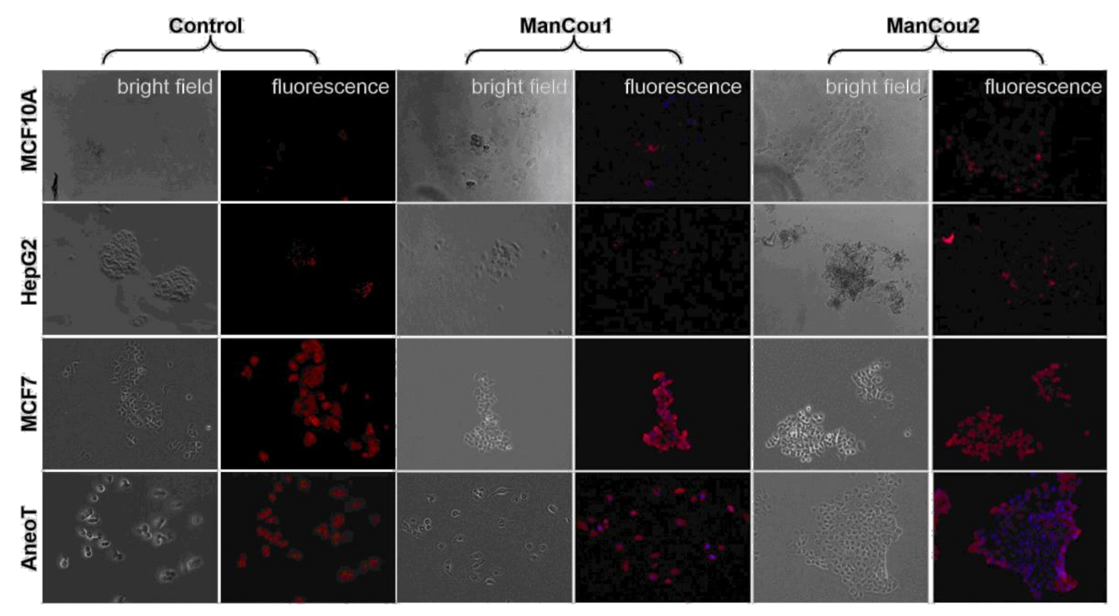 Biosensors 08 00039 g006 Biosensors 08 00039 g006