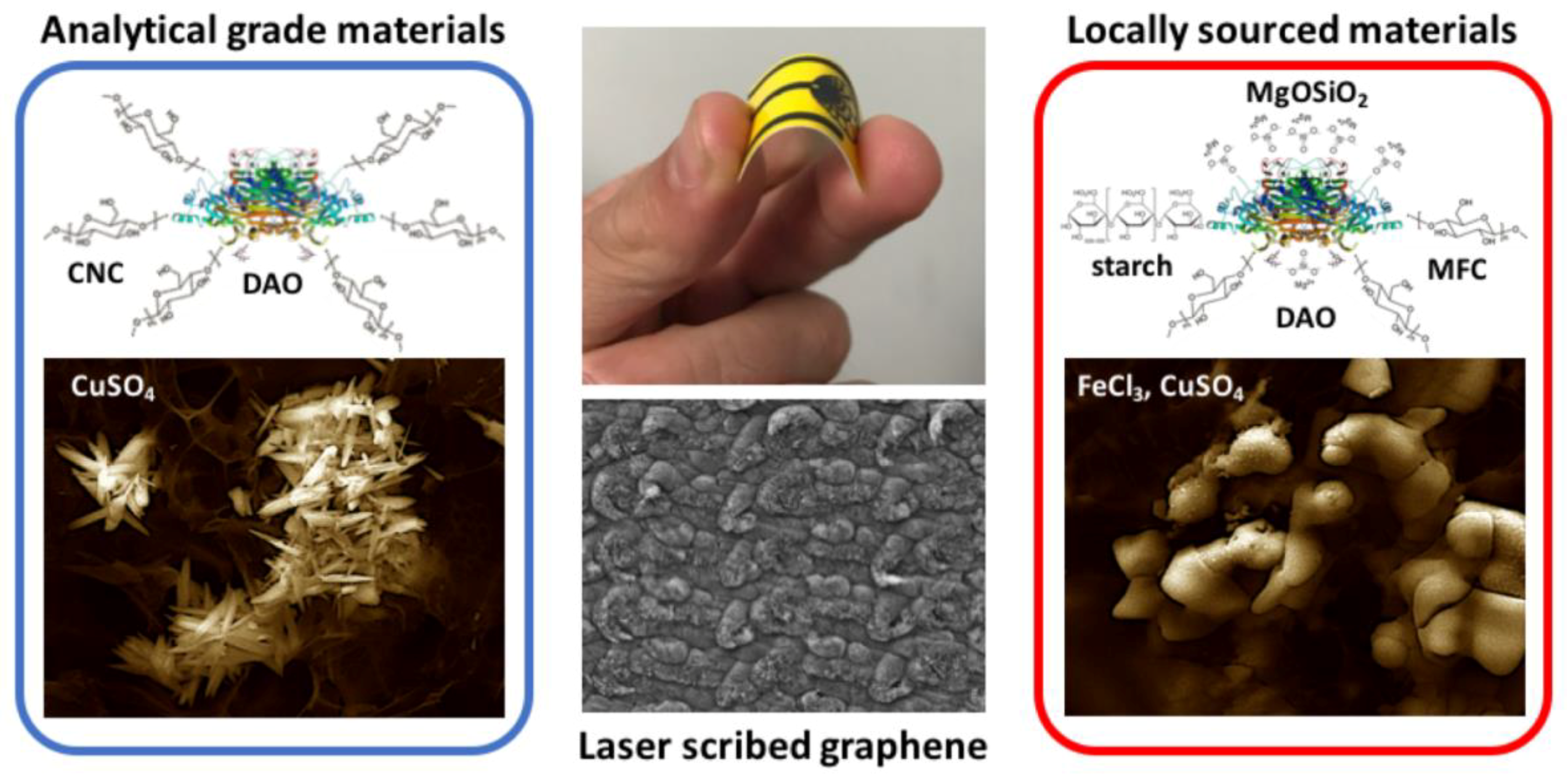 Biosensors 08 00042 g001