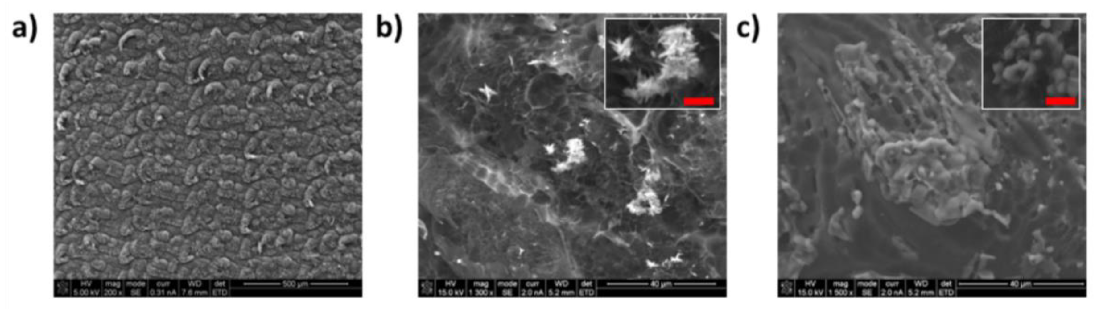 Biosensors 08 00042 g002