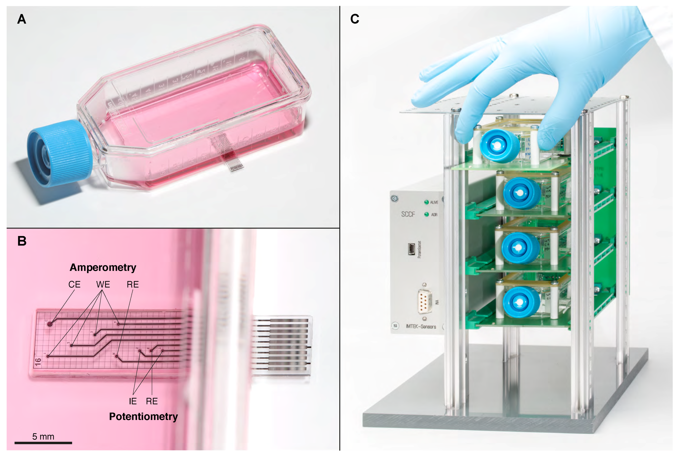 Biosensors 08 00044 g001
