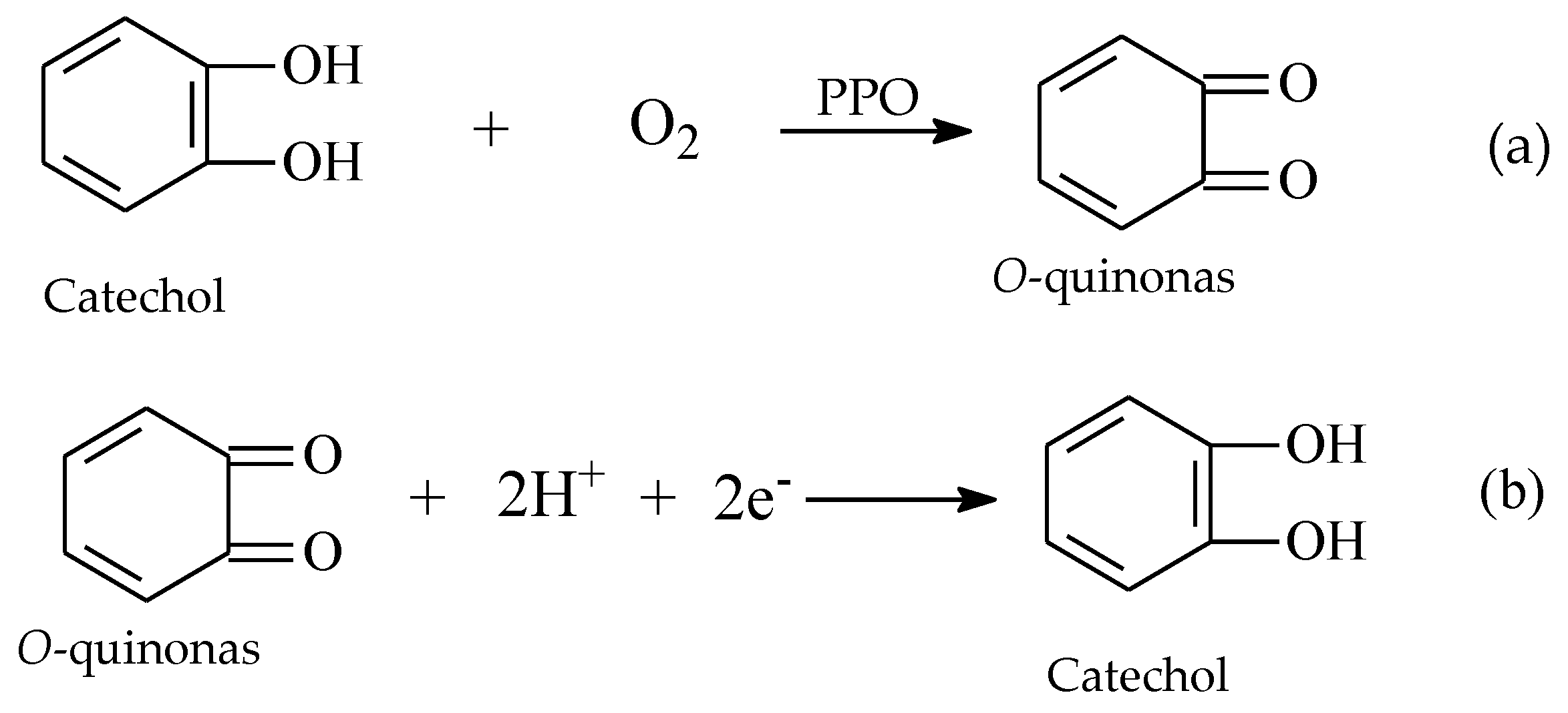 Biosensors 08 00047 sch001