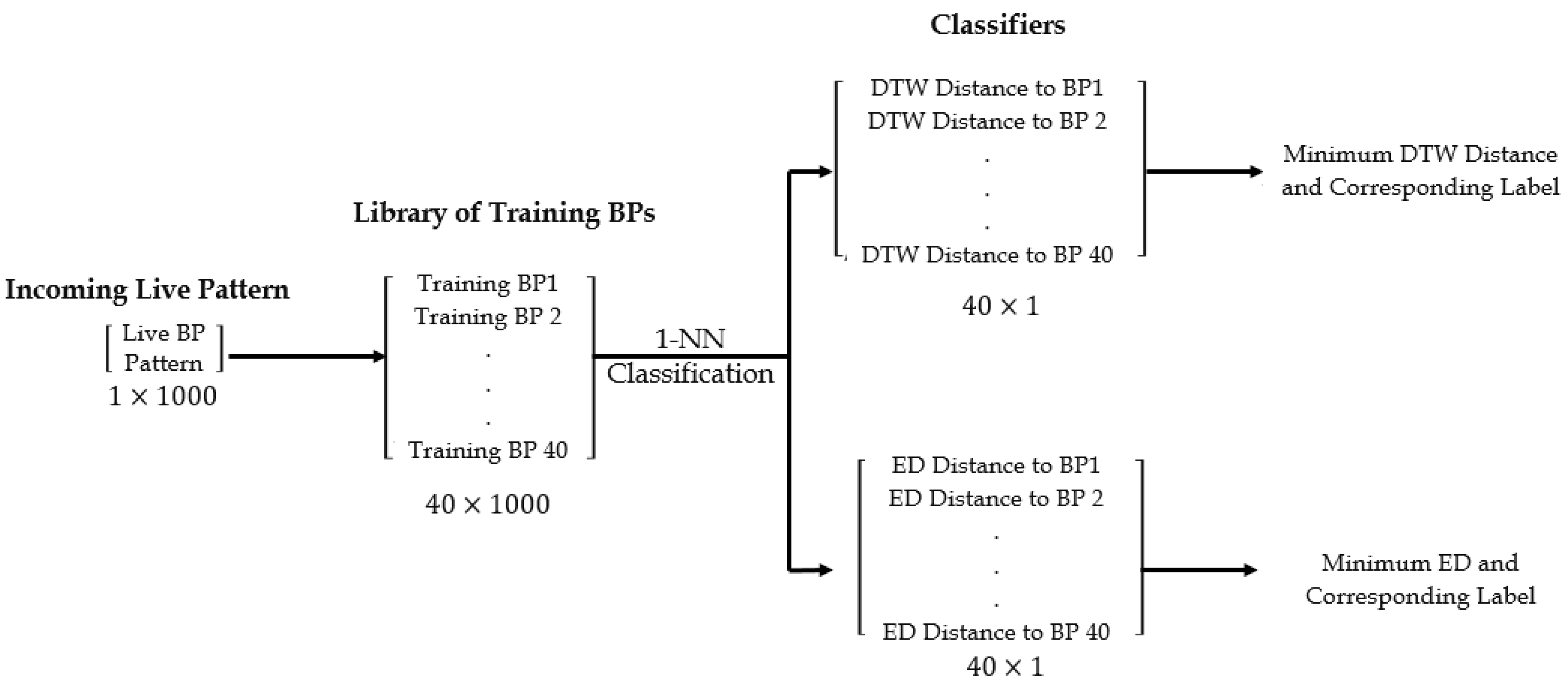 Biosensors 08 00048 g007