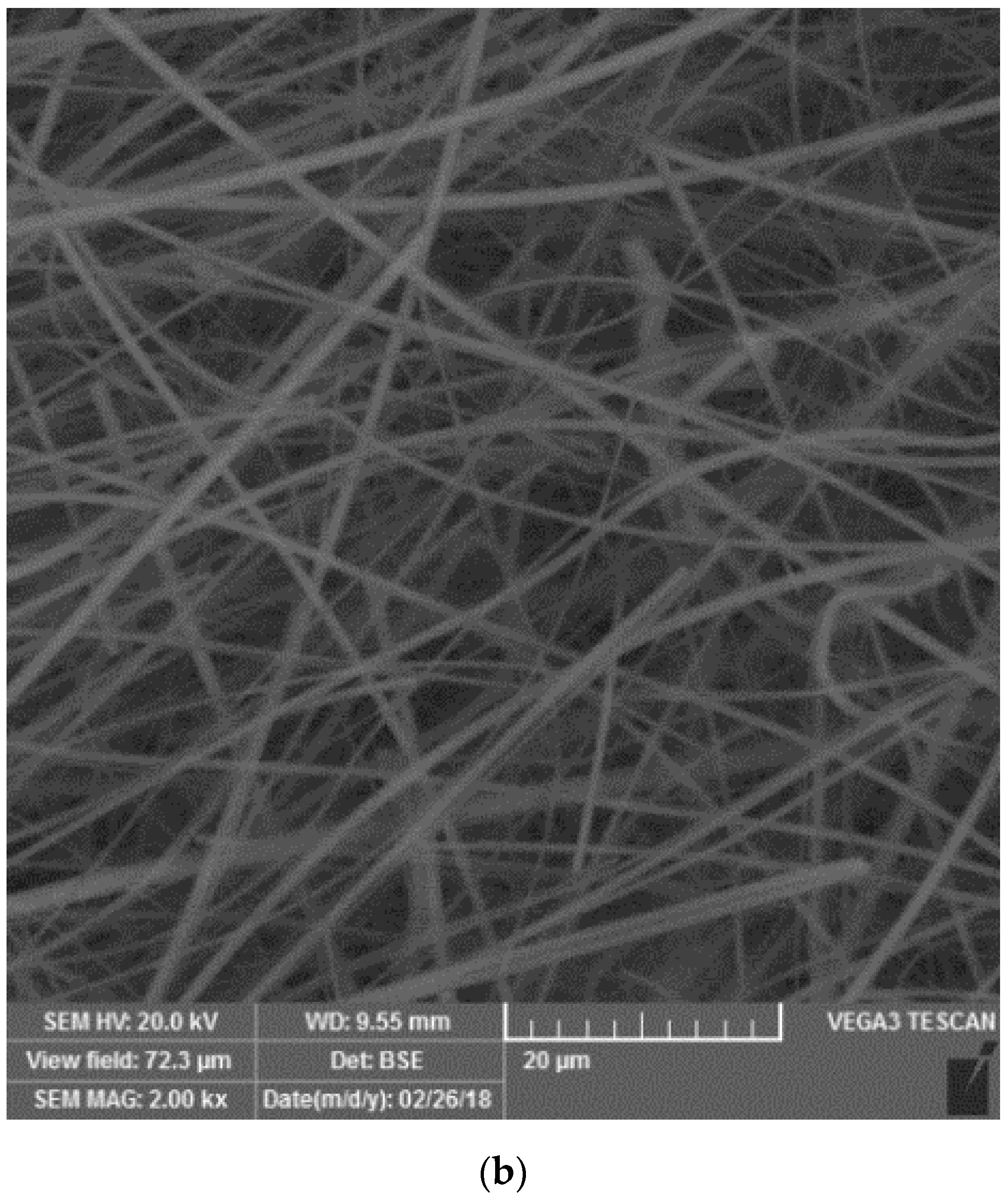 Biosensors 08 00051 g004b