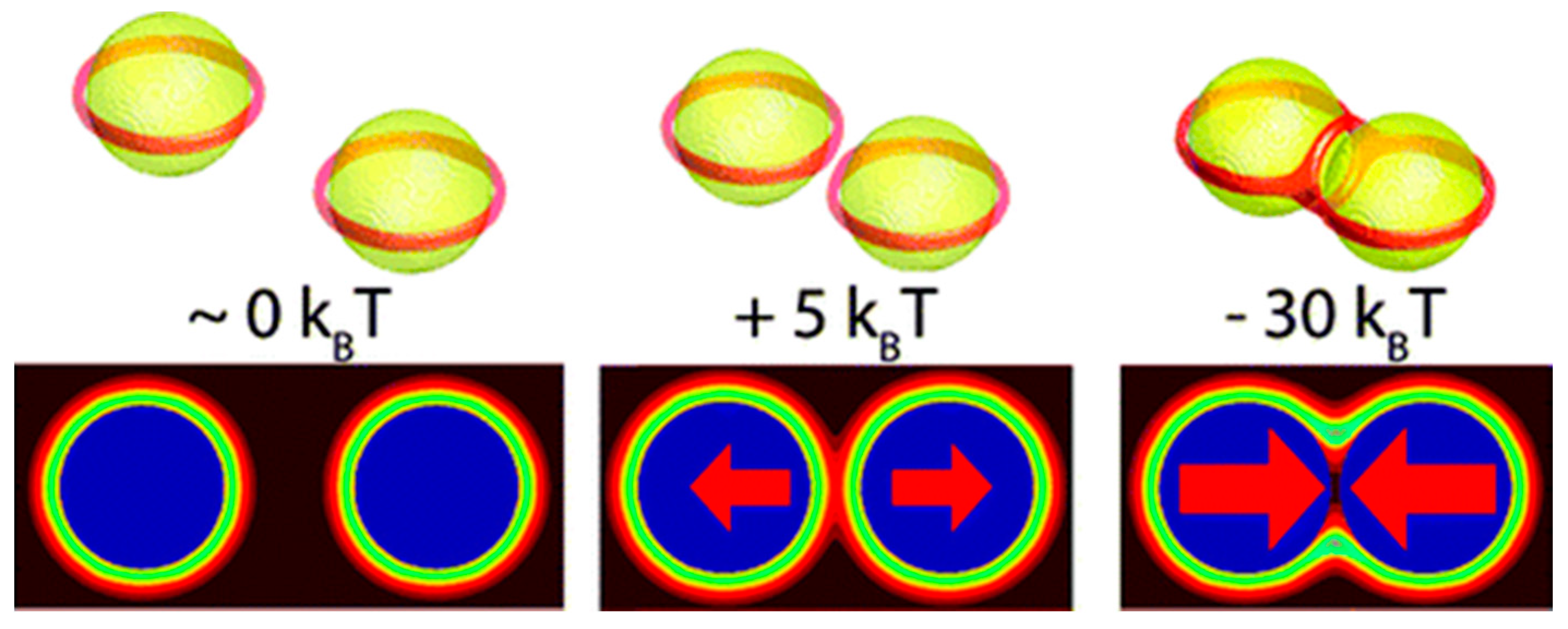 Biosensors 08 00069 g007
