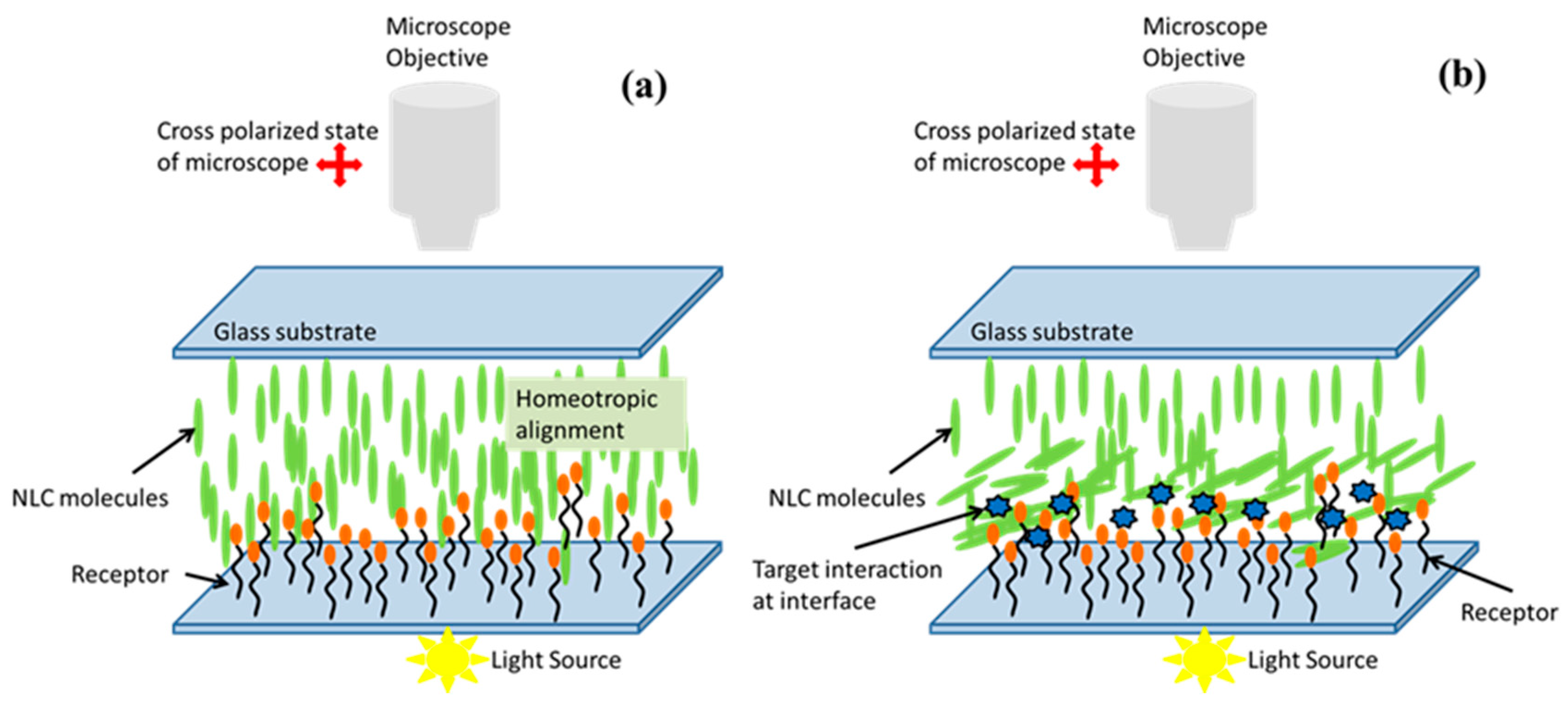 Biosensors 08 00069 g008