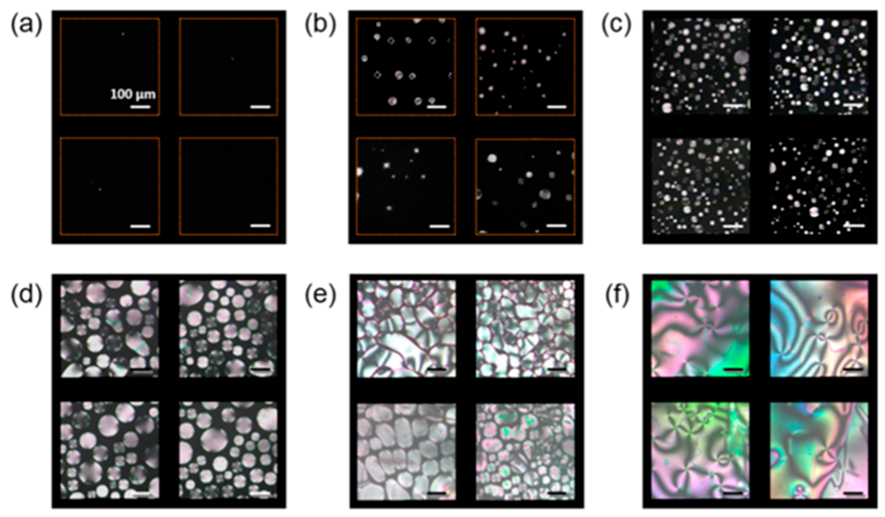 Biosensors 08 00069 g010
