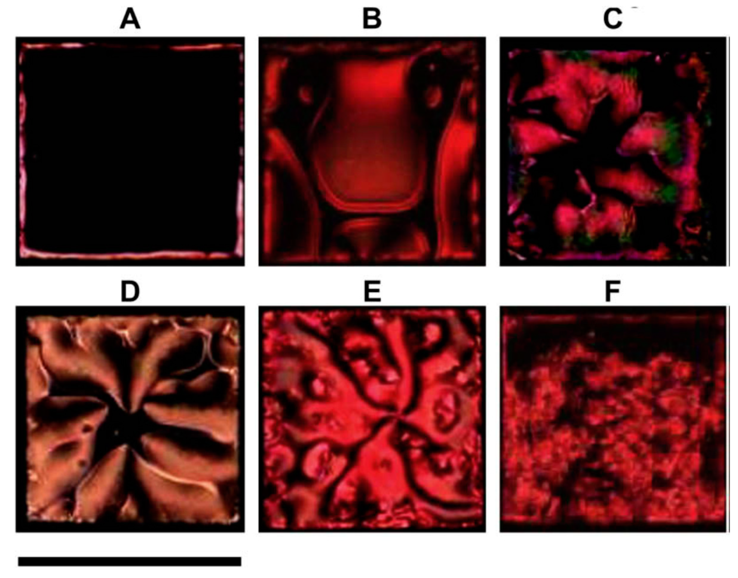 Biosensors 08 00069 g011