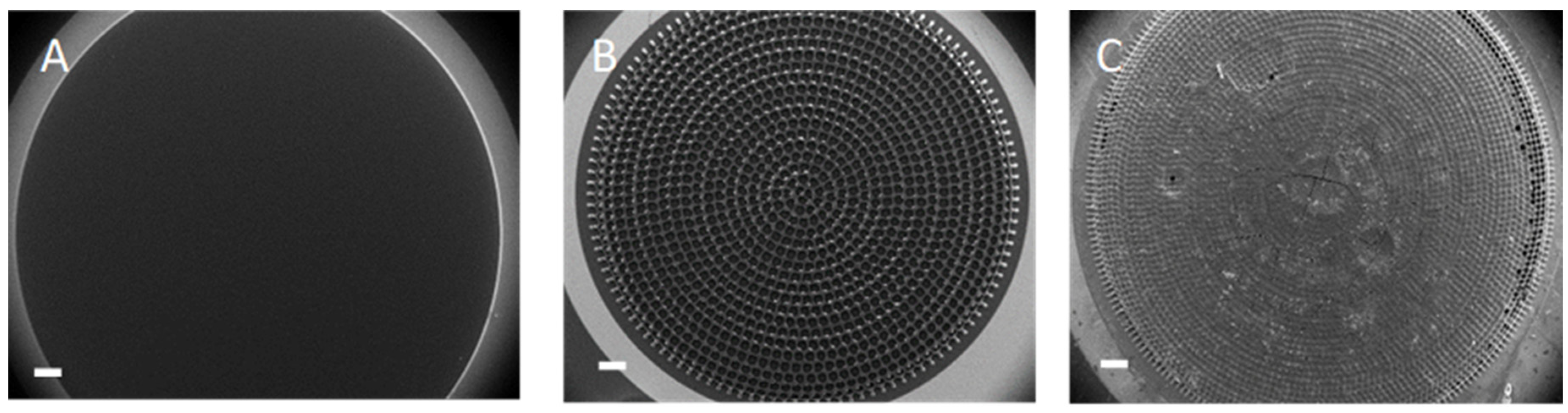 Biosensors 08 00070 g002