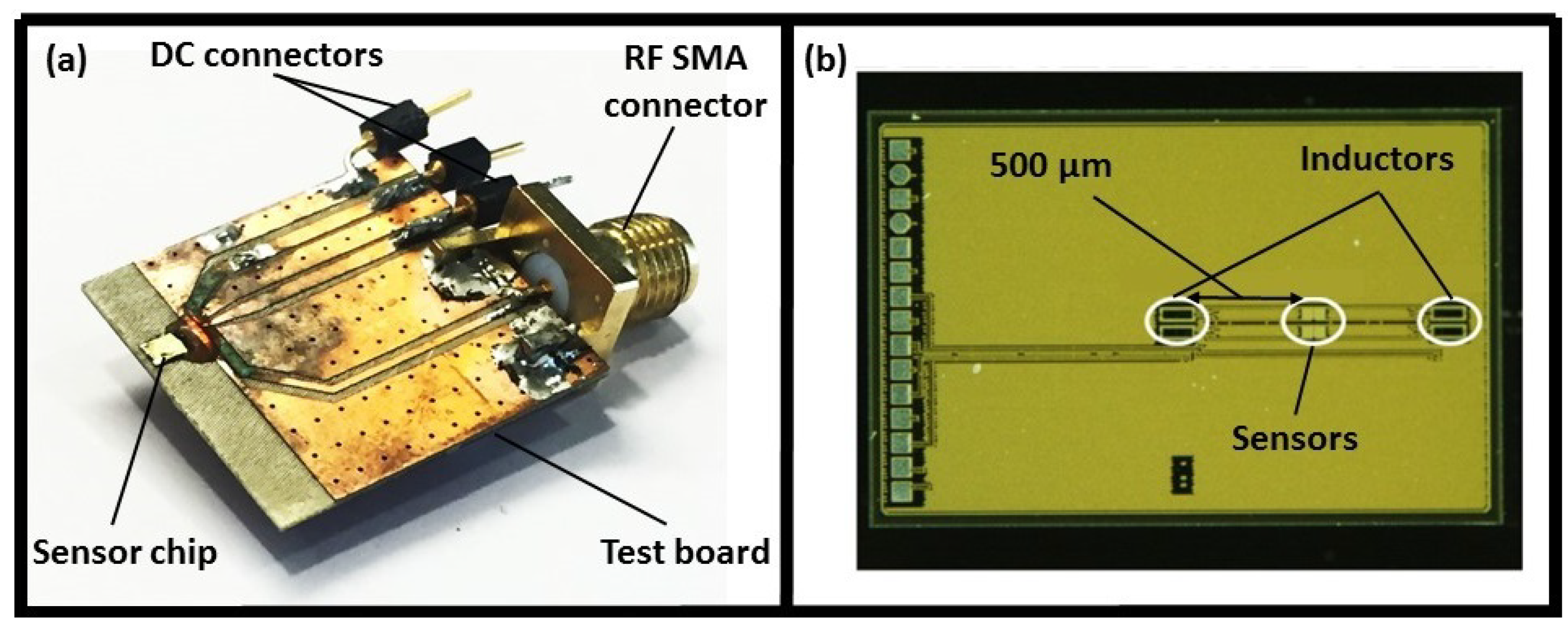 Biosensors 08 00078 g001