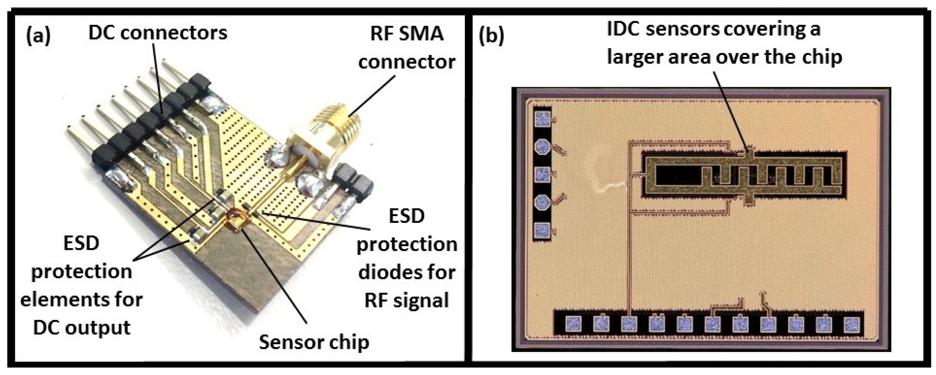 Biosensors 08 00078 g002