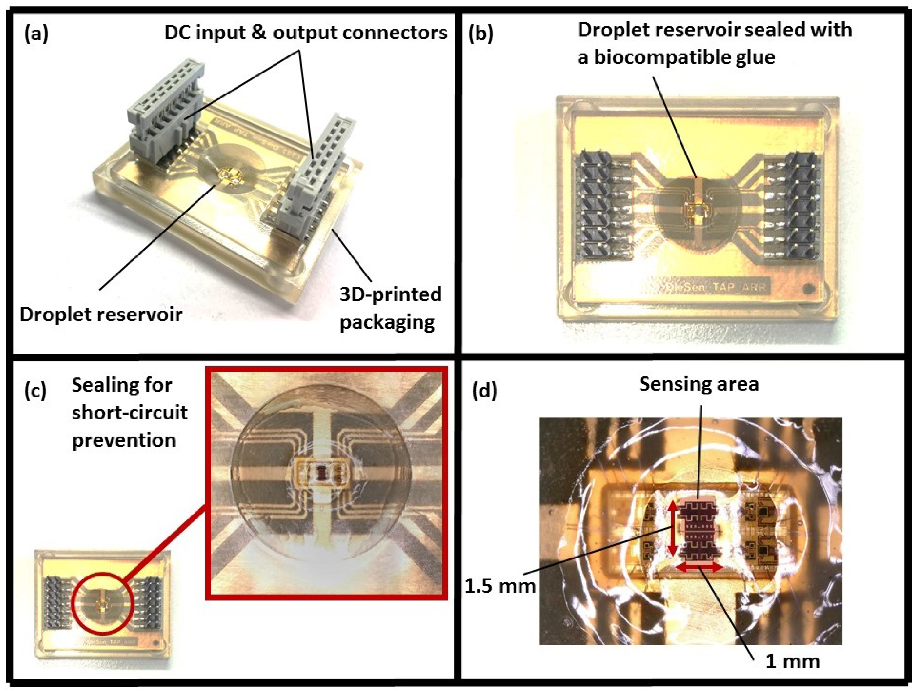 Biosensors 08 00078 g004