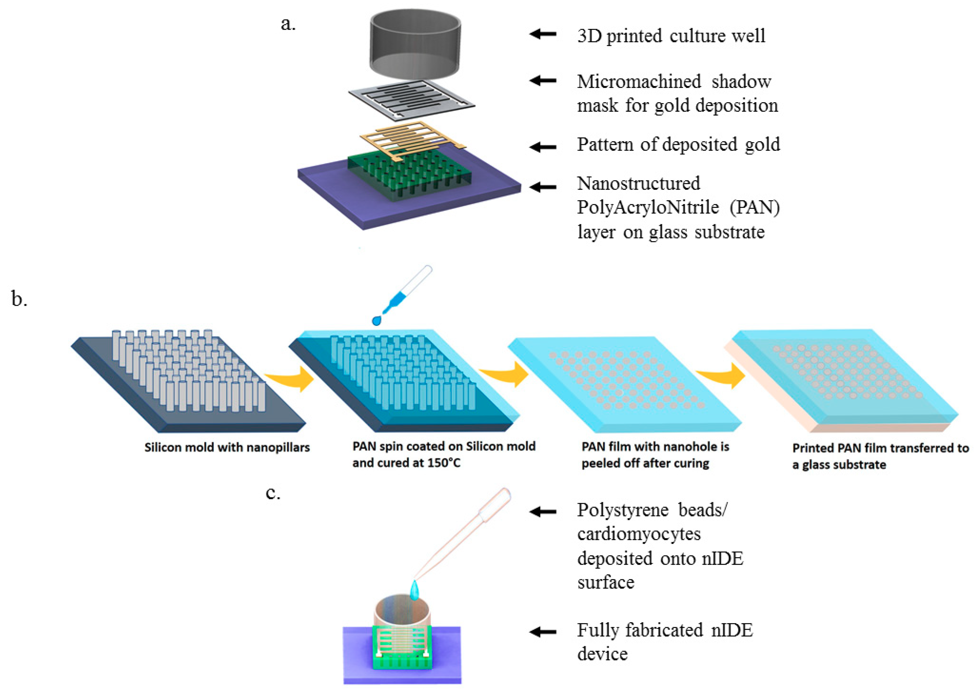 Biosensors 08 00088 g001