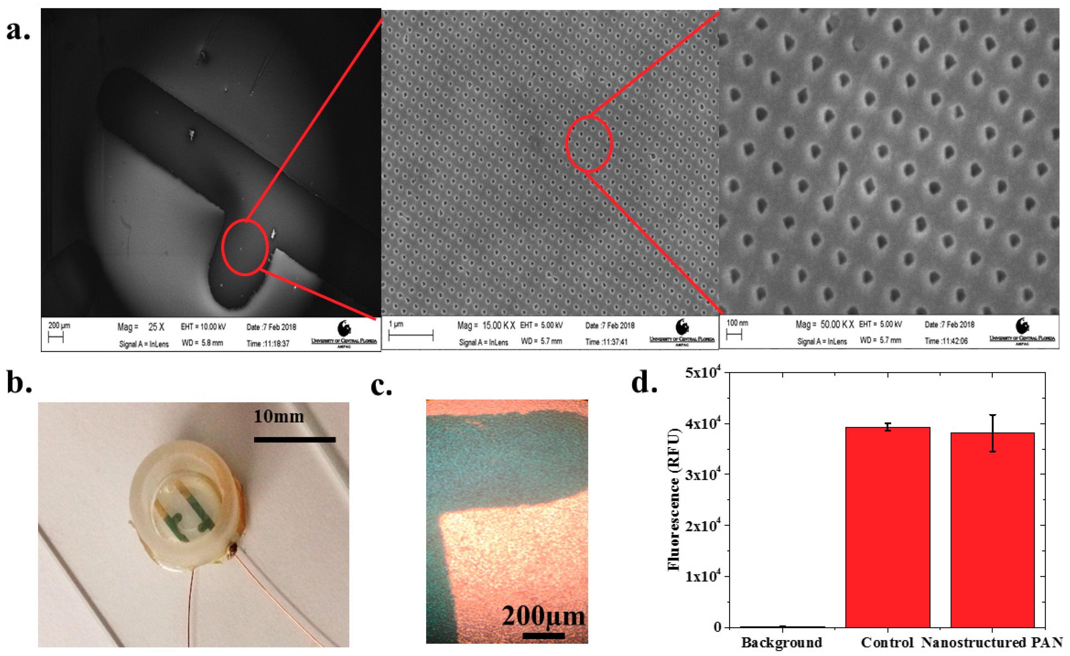 Biosensors 08 00088 g002