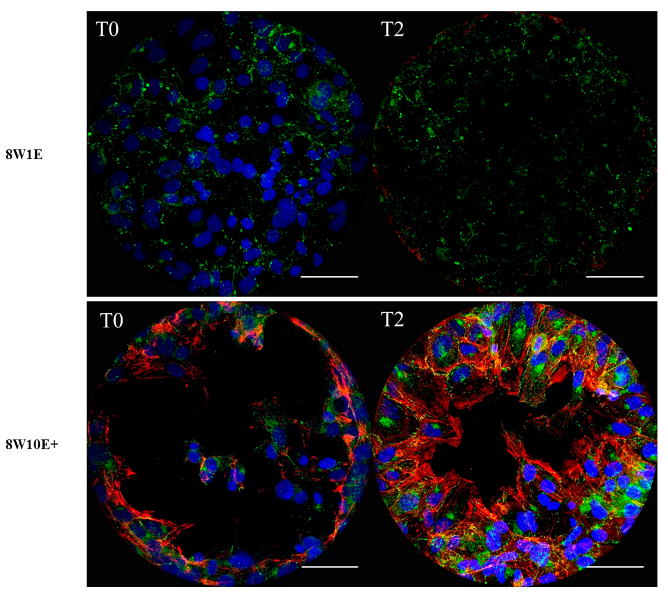 Biosensors 08 00090 g003