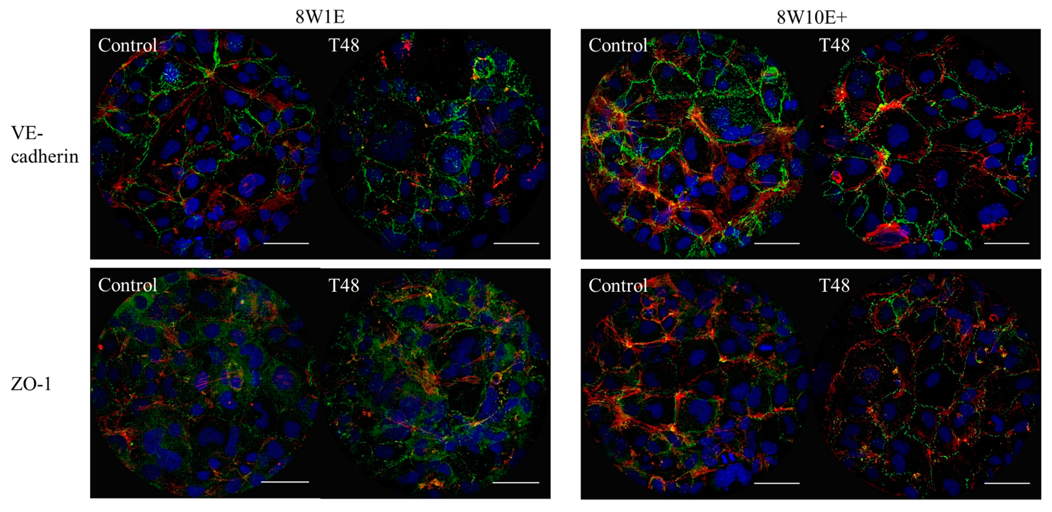 Biosensors 08 00090 g005