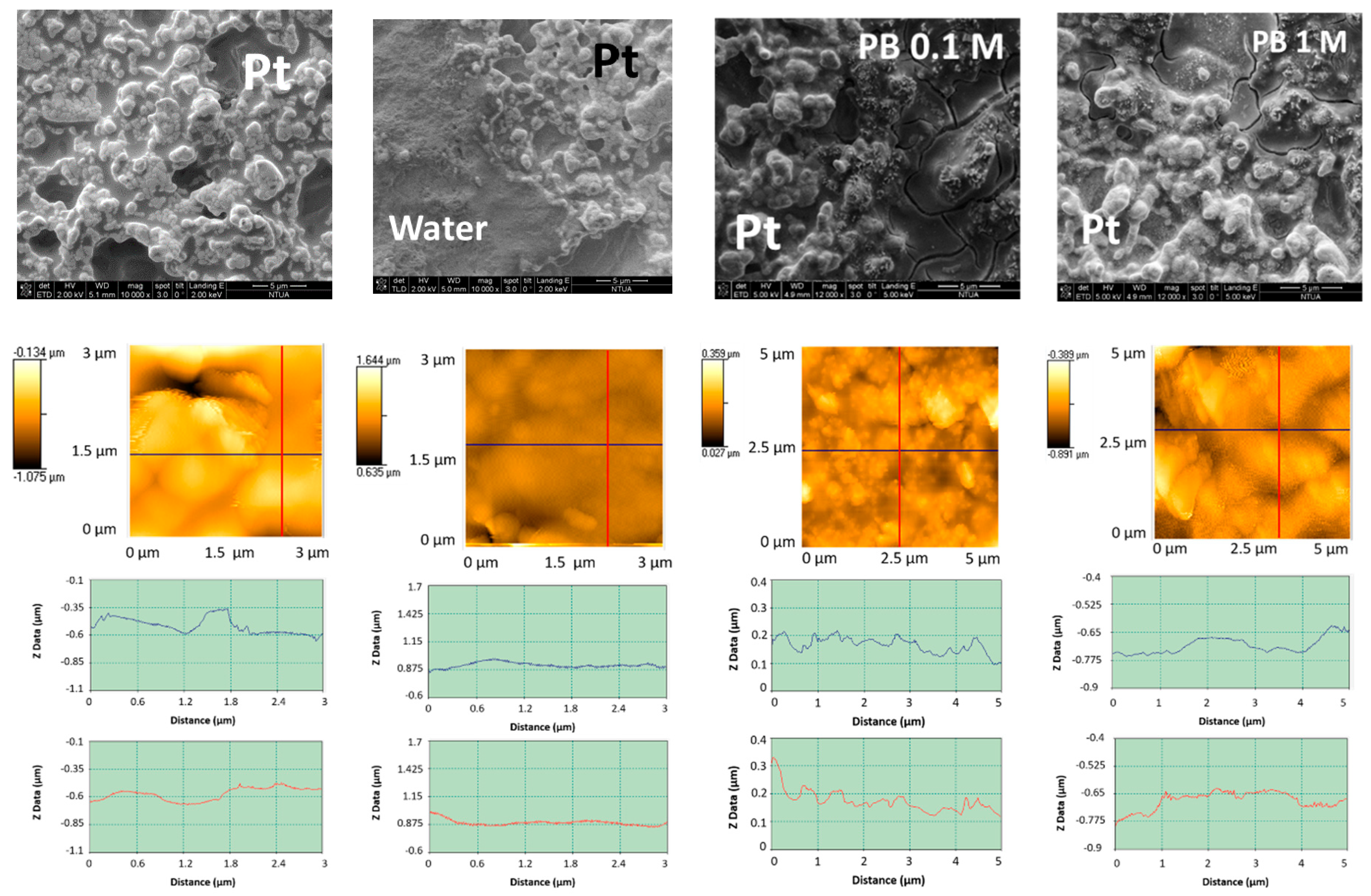 Biosensors 08 00091 g001