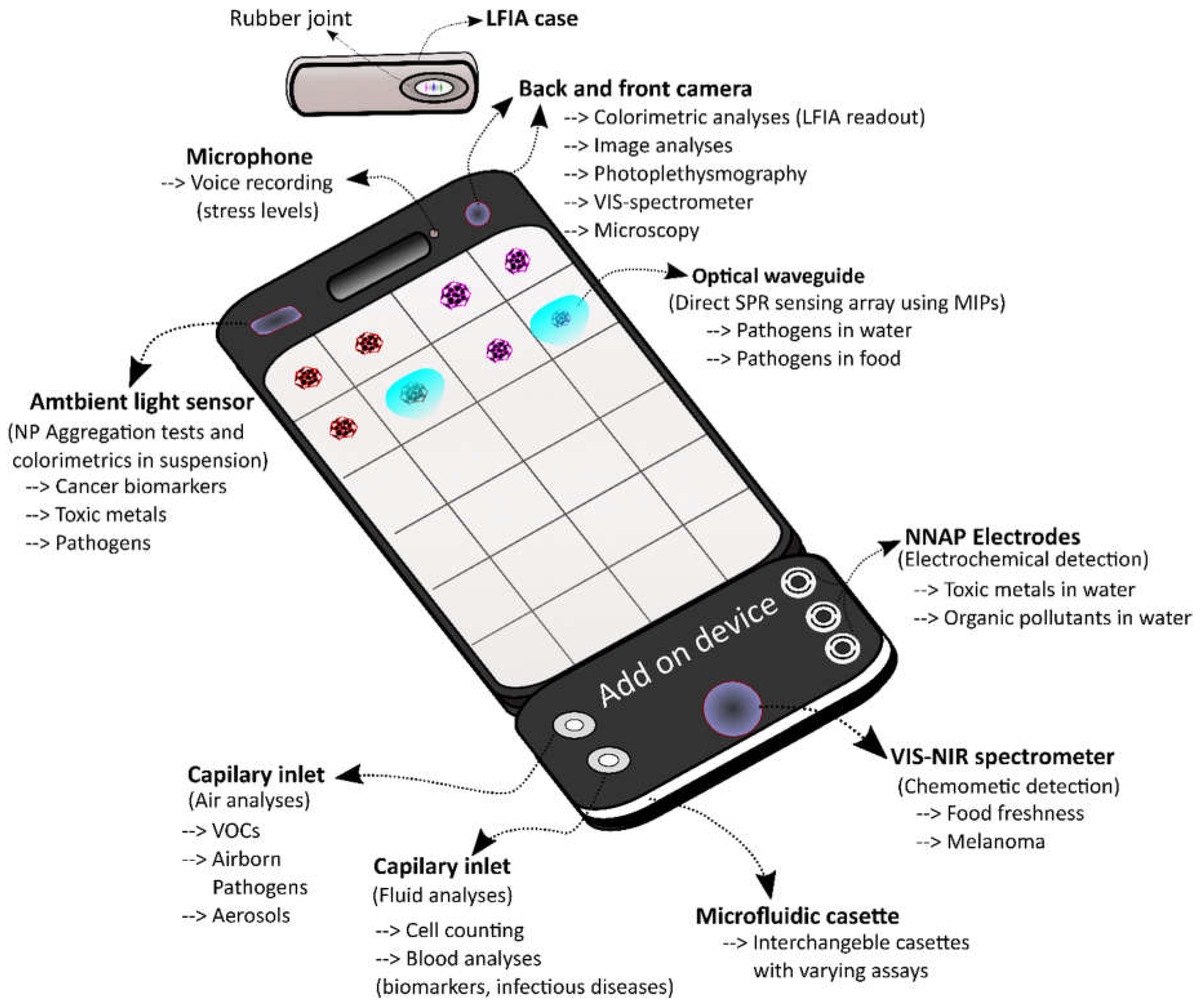Biosensors 08 00096 g004