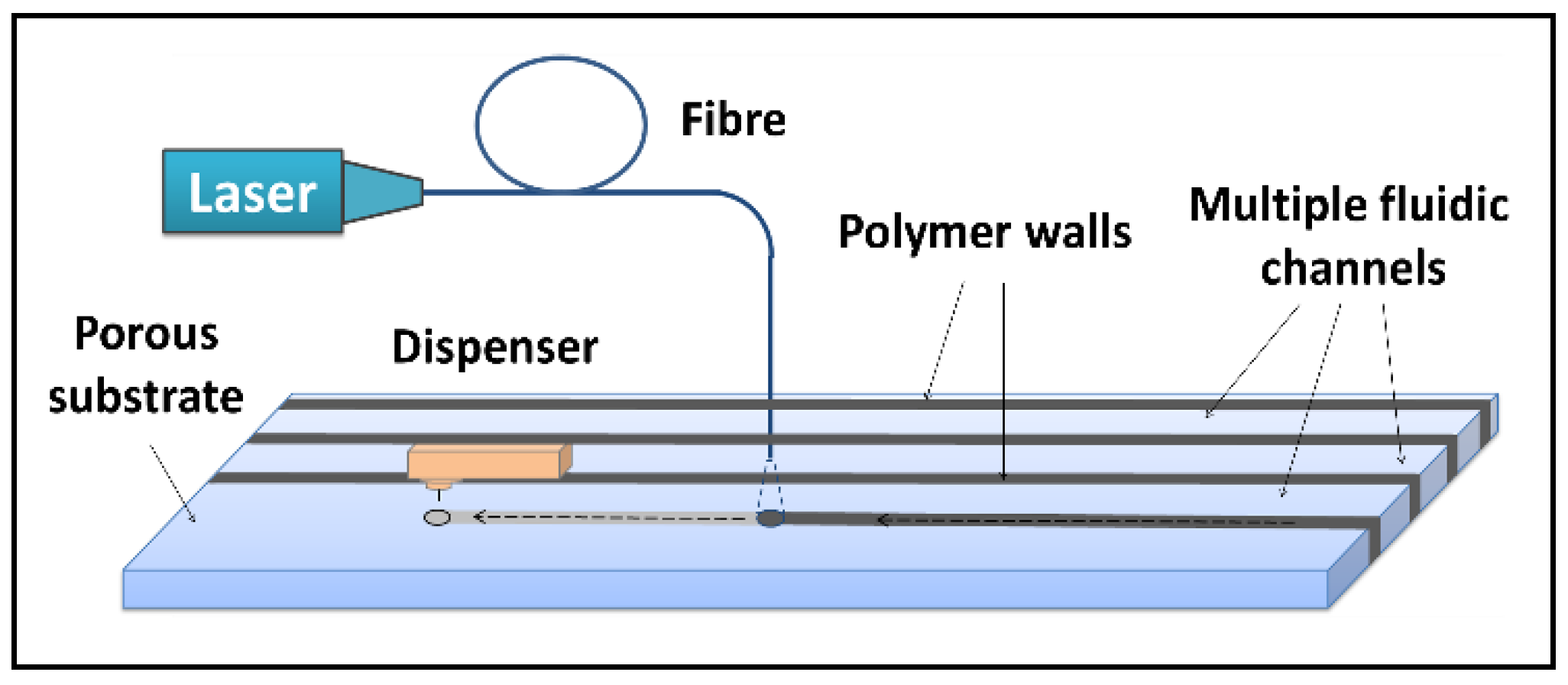 Biosensors 08 00097 g002